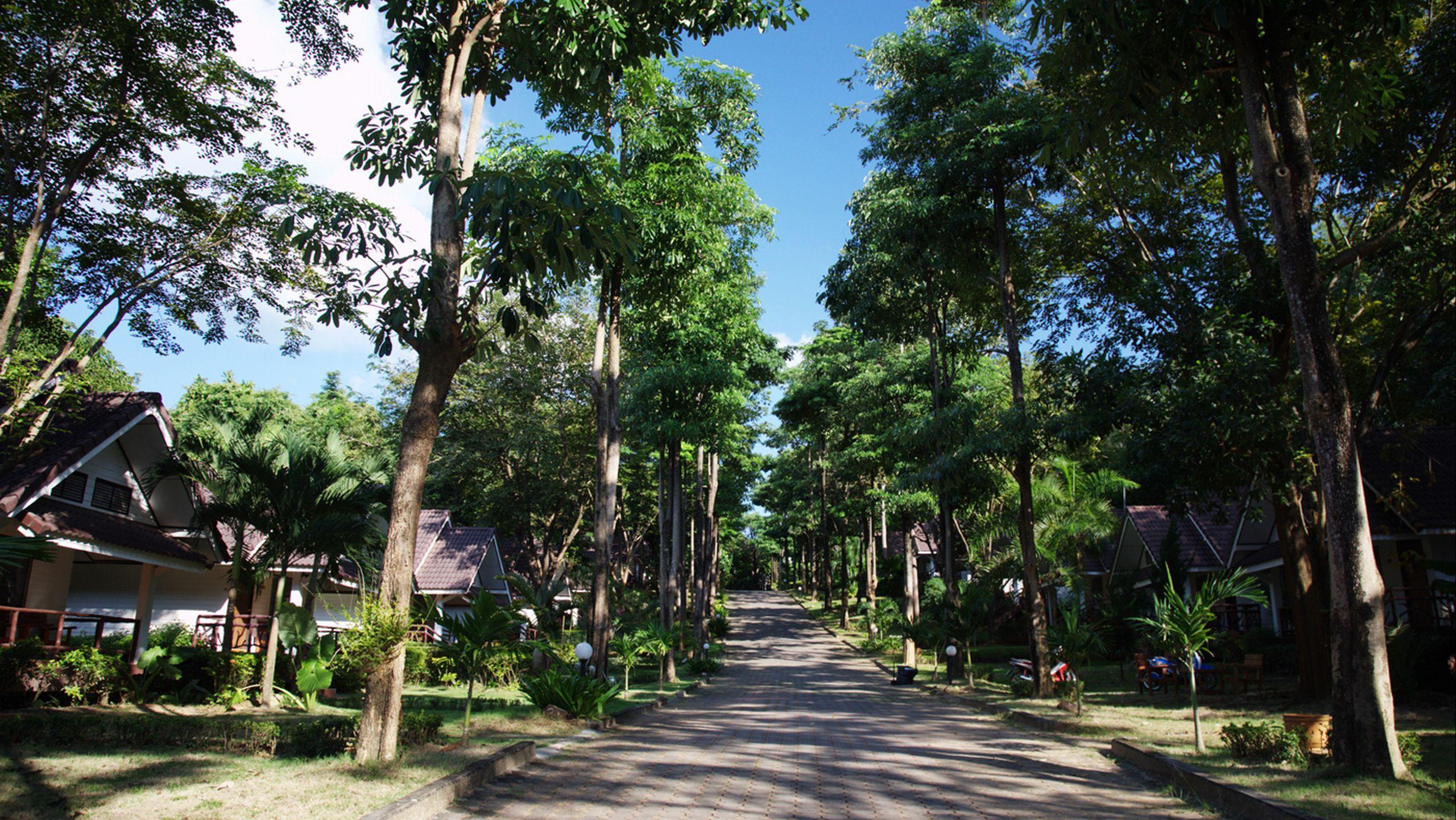 Lanta Manda