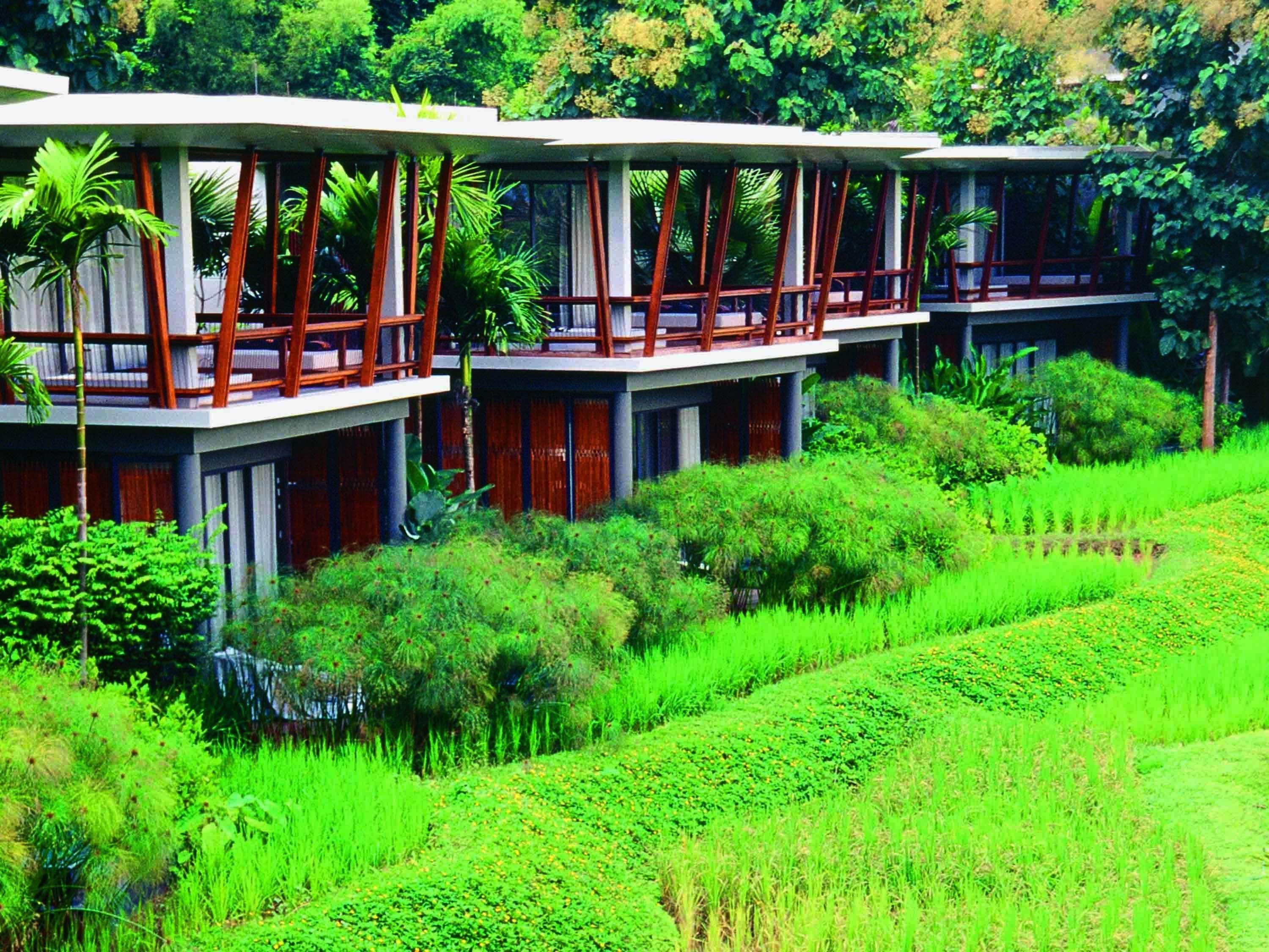 Veranda High Chiang Mai - Mgallery