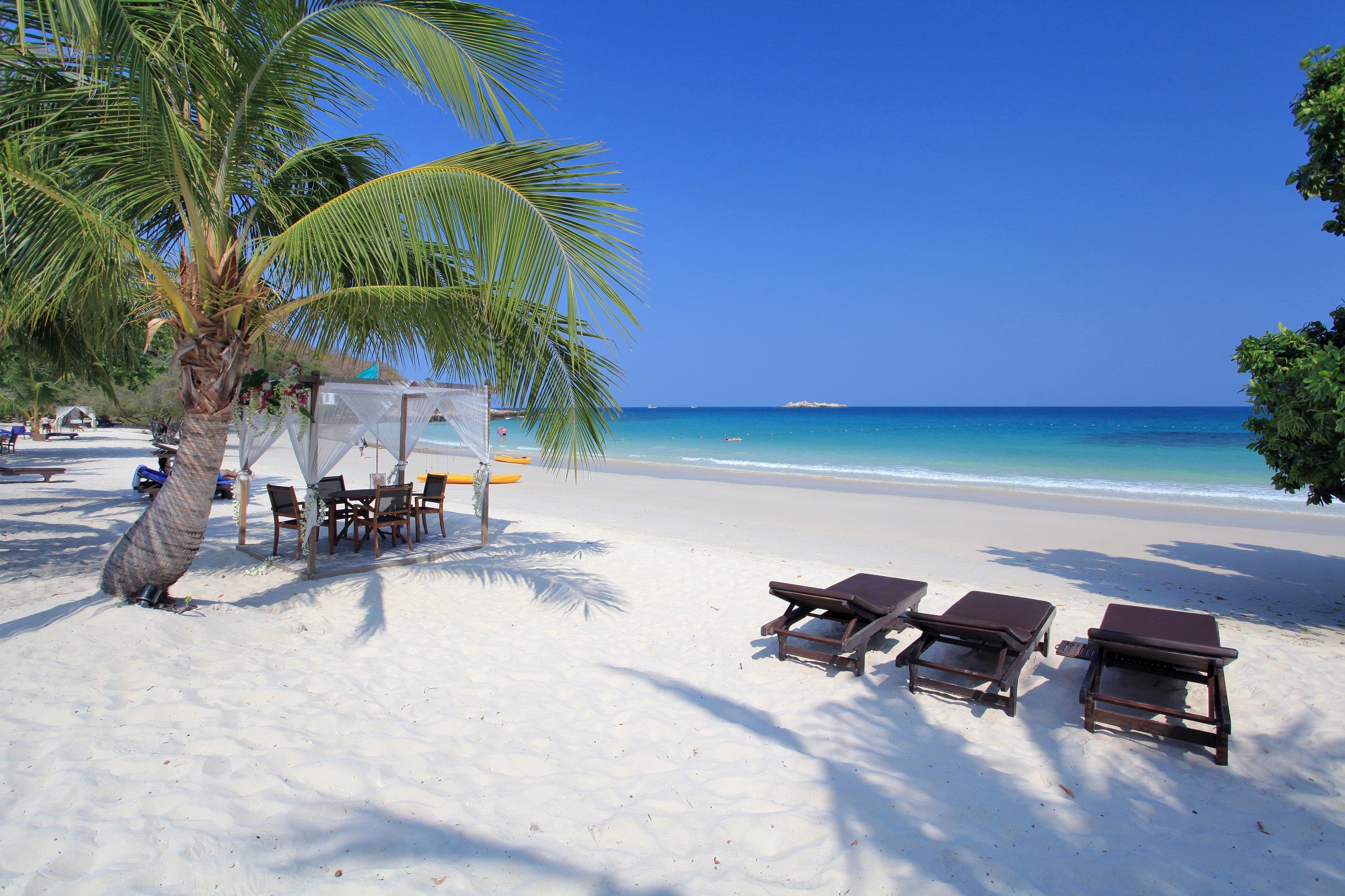 Paradee (adults Only) 5*