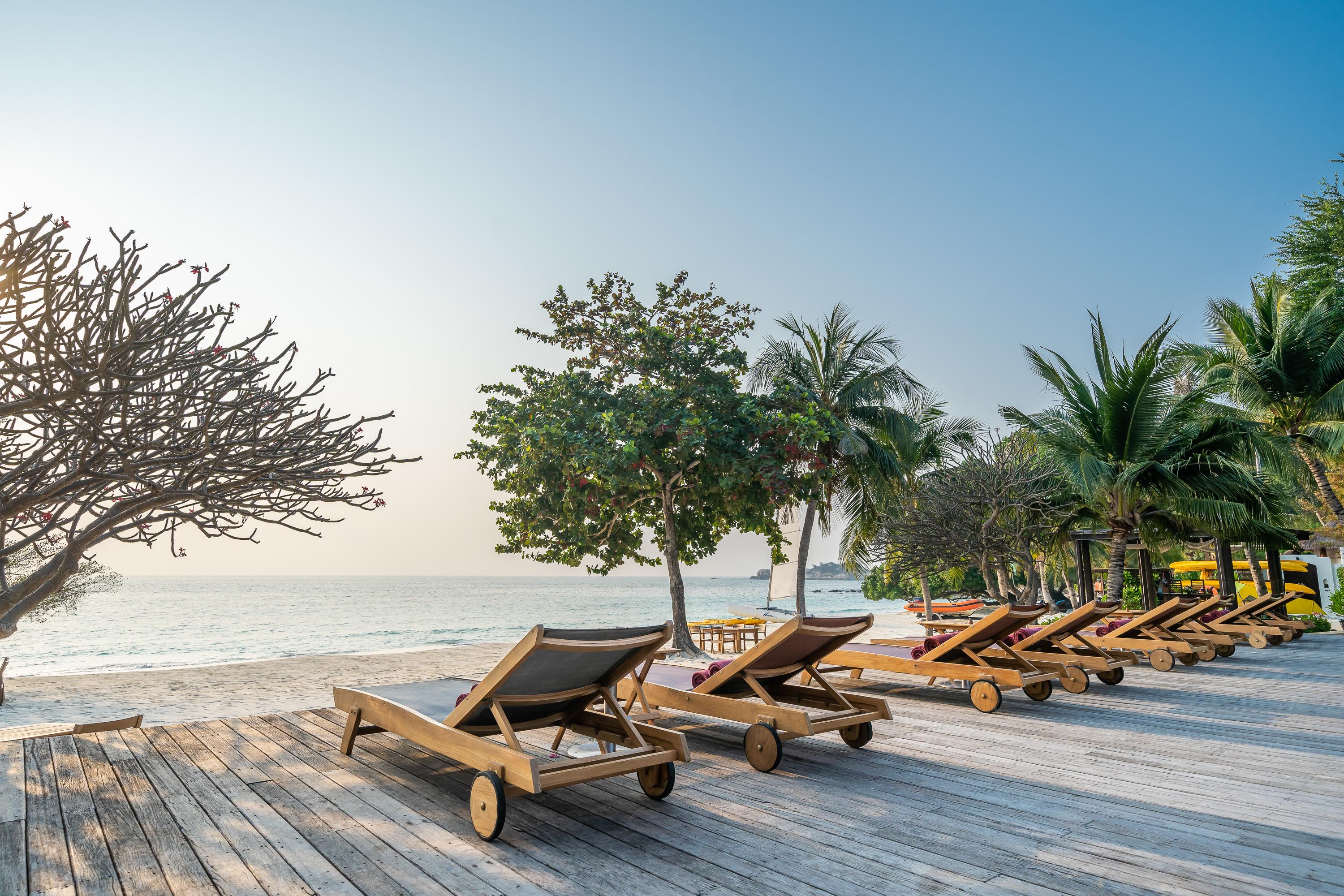 Paradee (adults Only) 5*