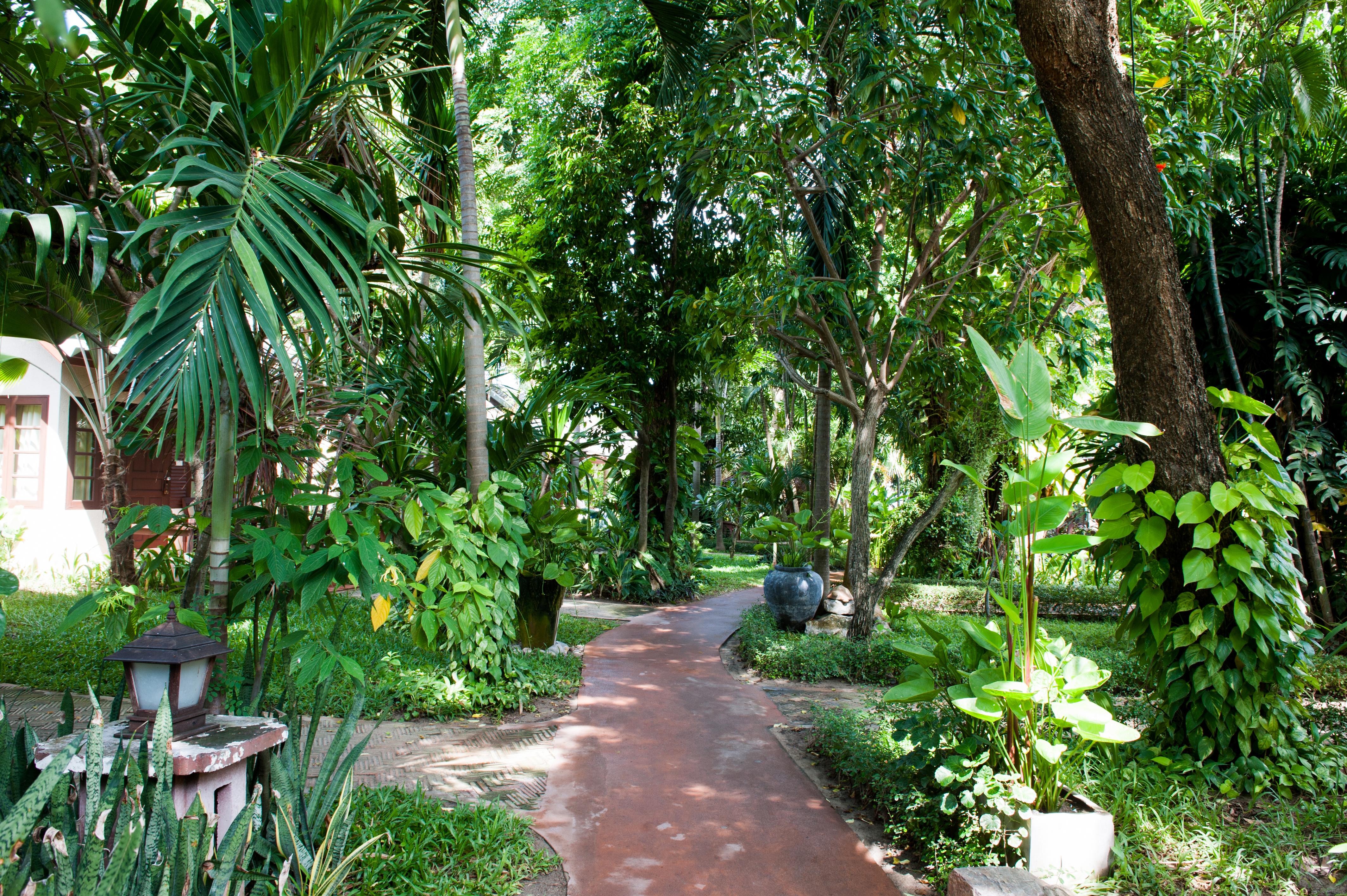 Montien House - Sha Chaweng (Koh Samui)