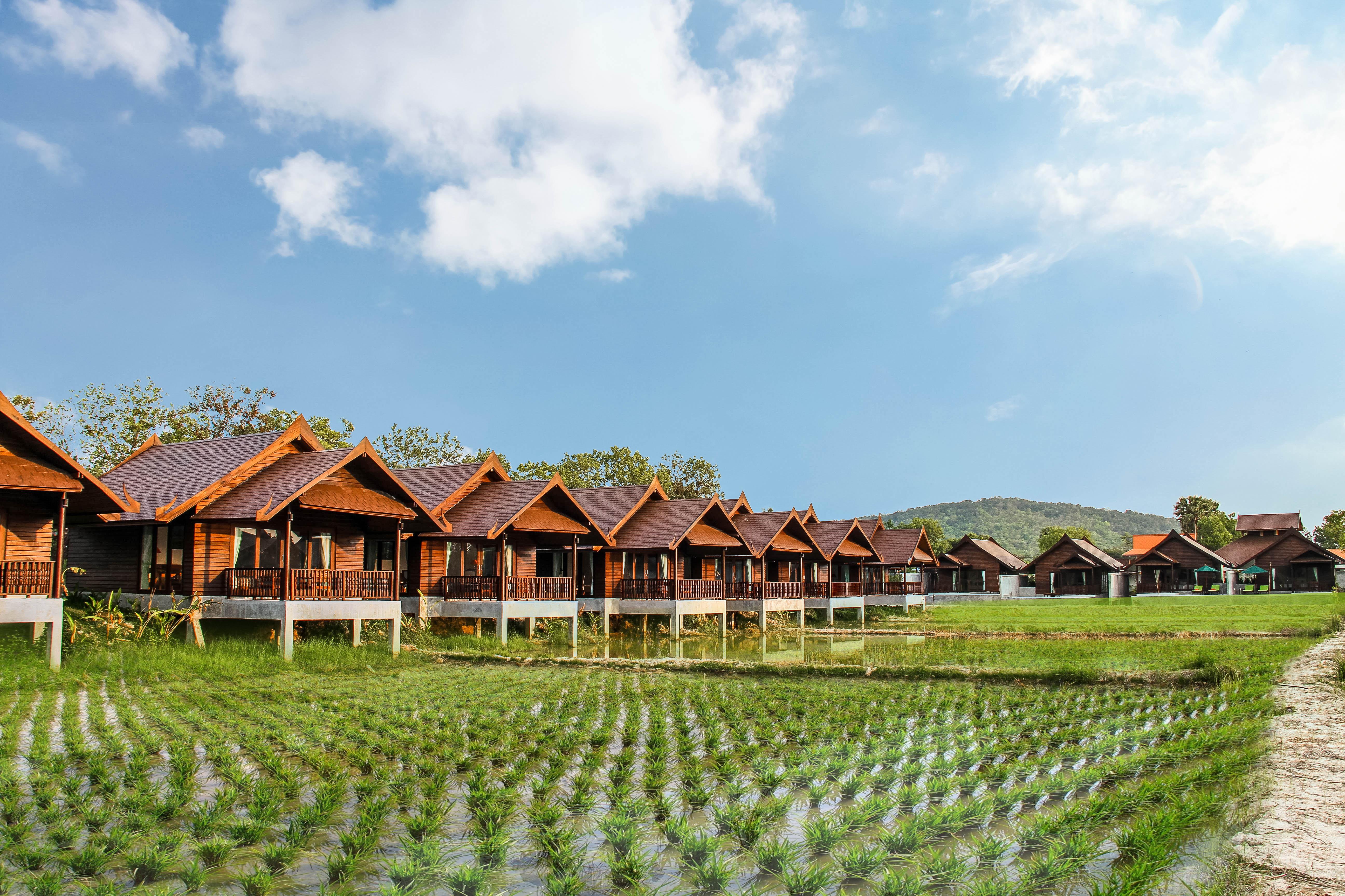 Farmers Resort 4*
