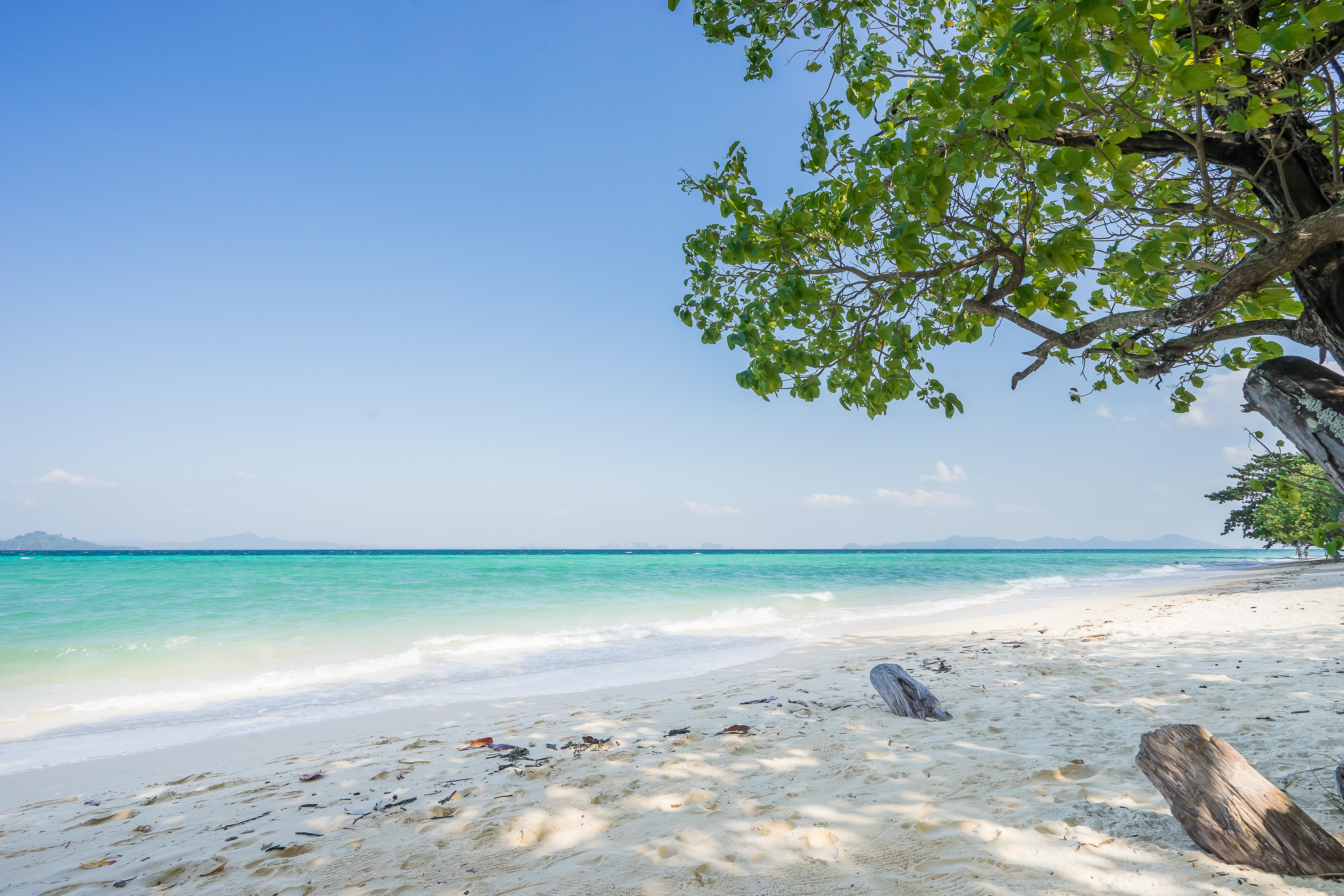 Sevenseas Resort