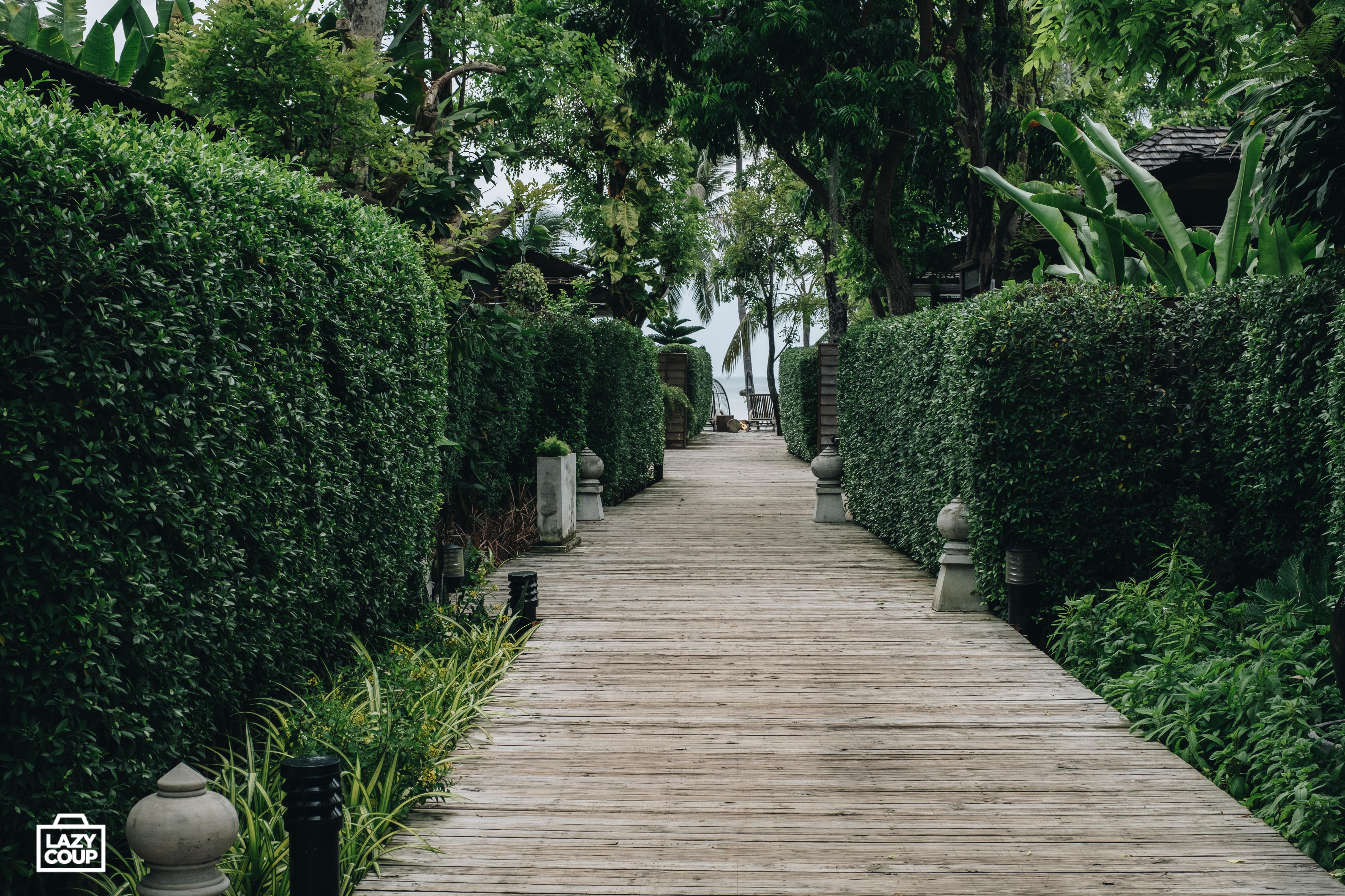 Hotel Tango Luxe Villa, Koh Samui 4*