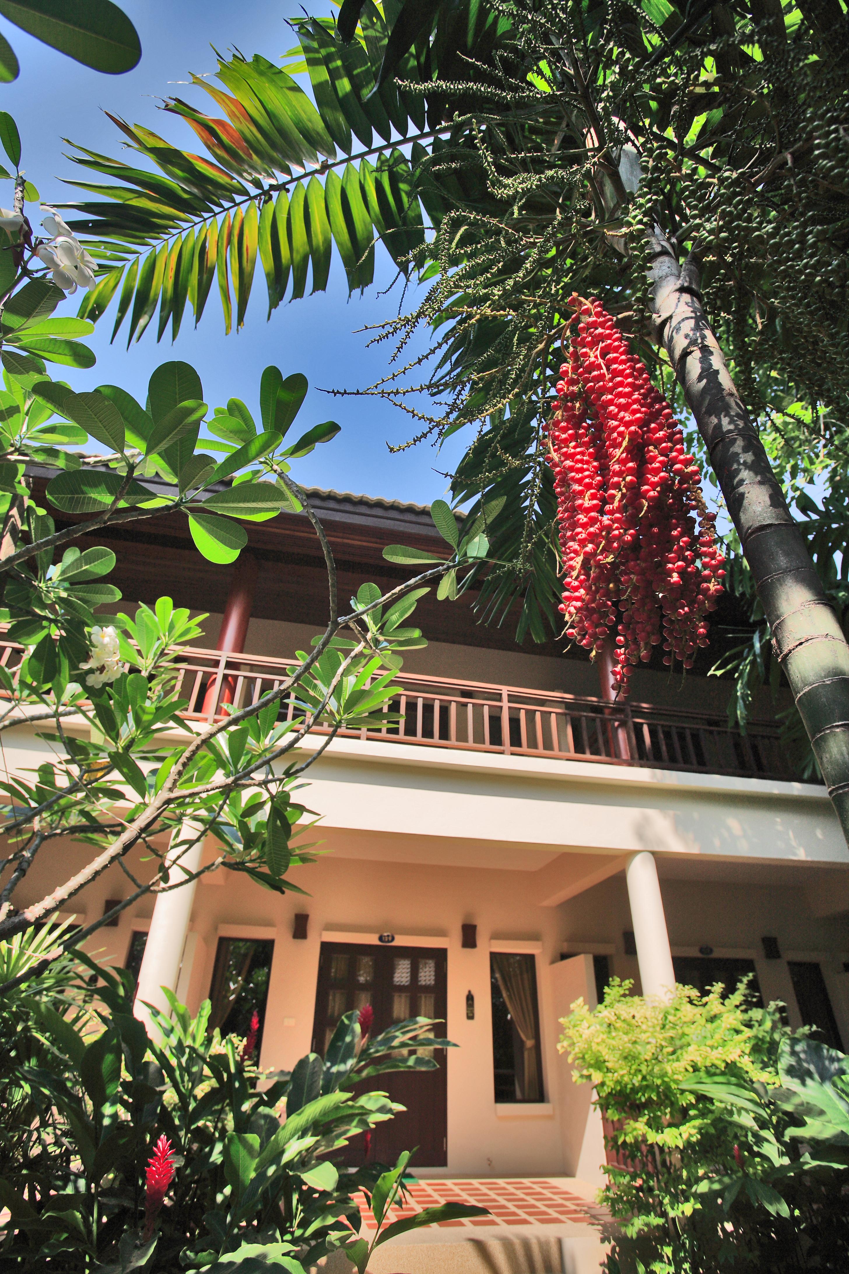 Baan & - Sha Extra Chaweng (Koh Samui)