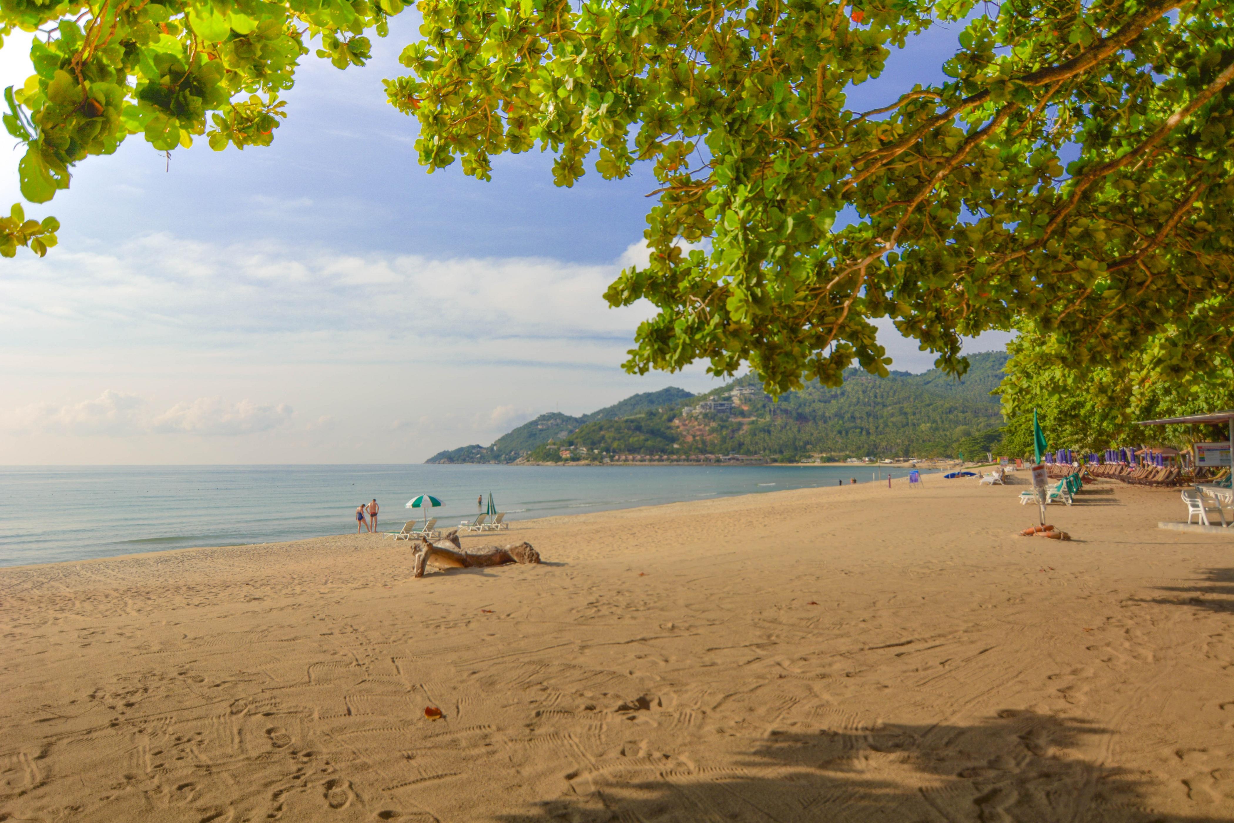 Resort First Chaweng (Koh Samui)