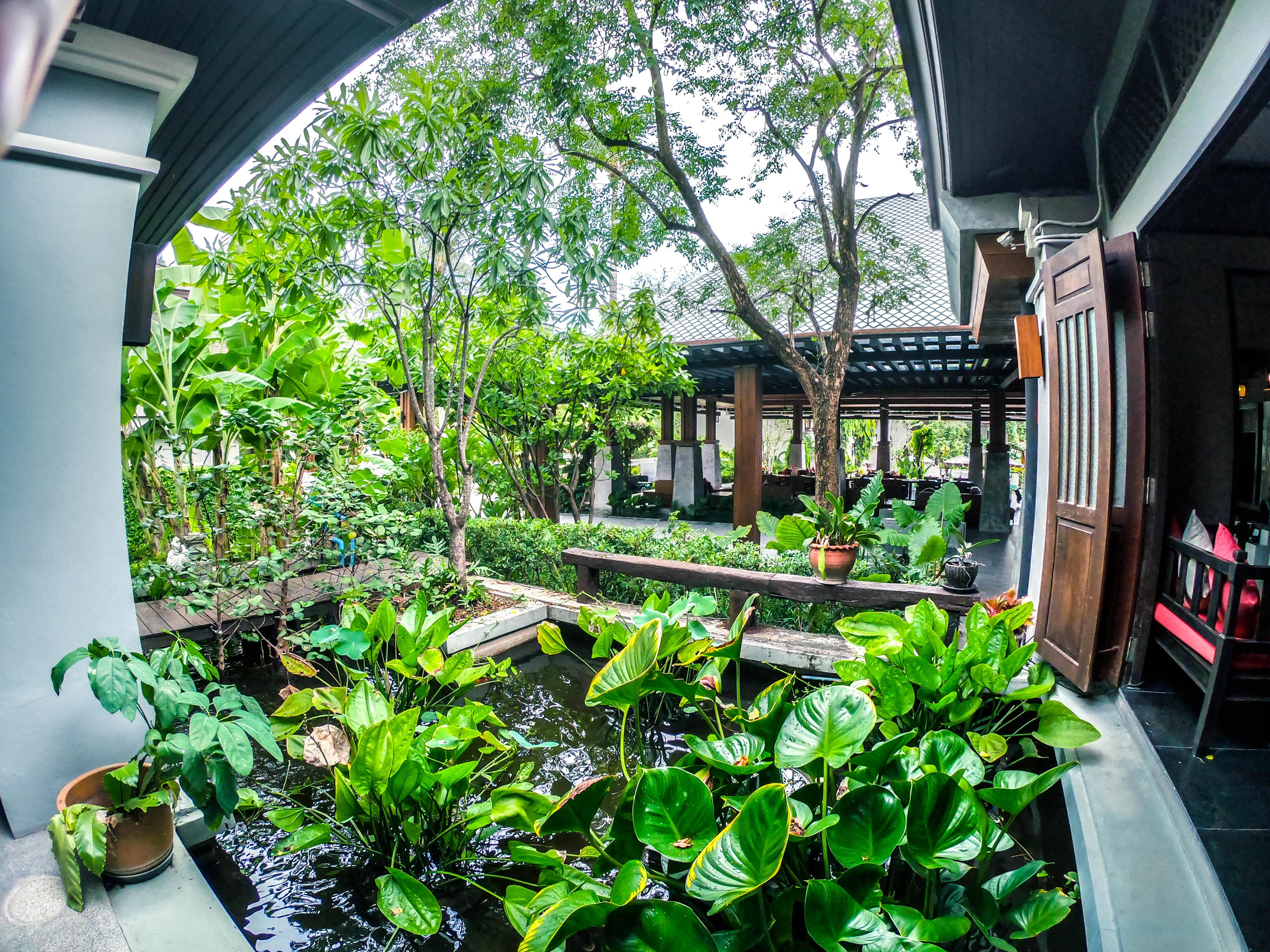 Resort Garden - Sha