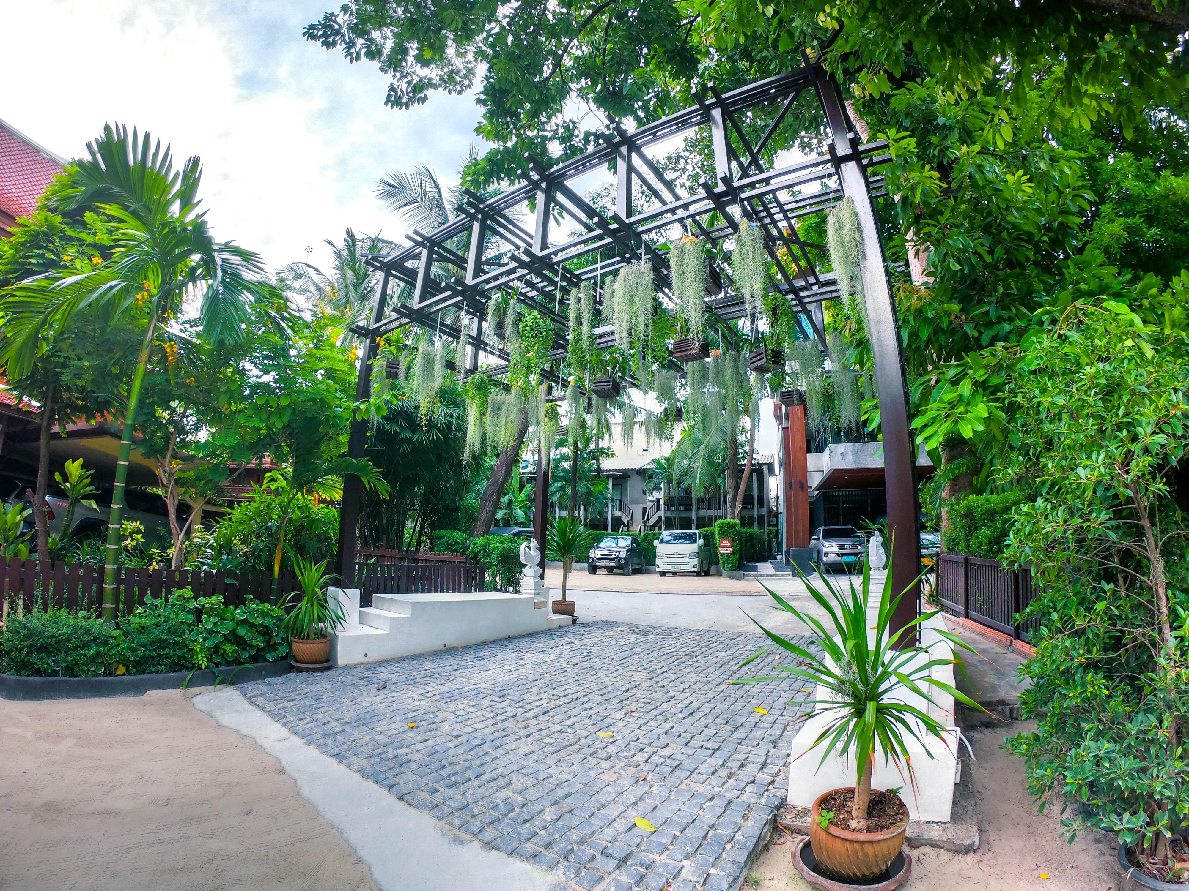 Garden - Sha
