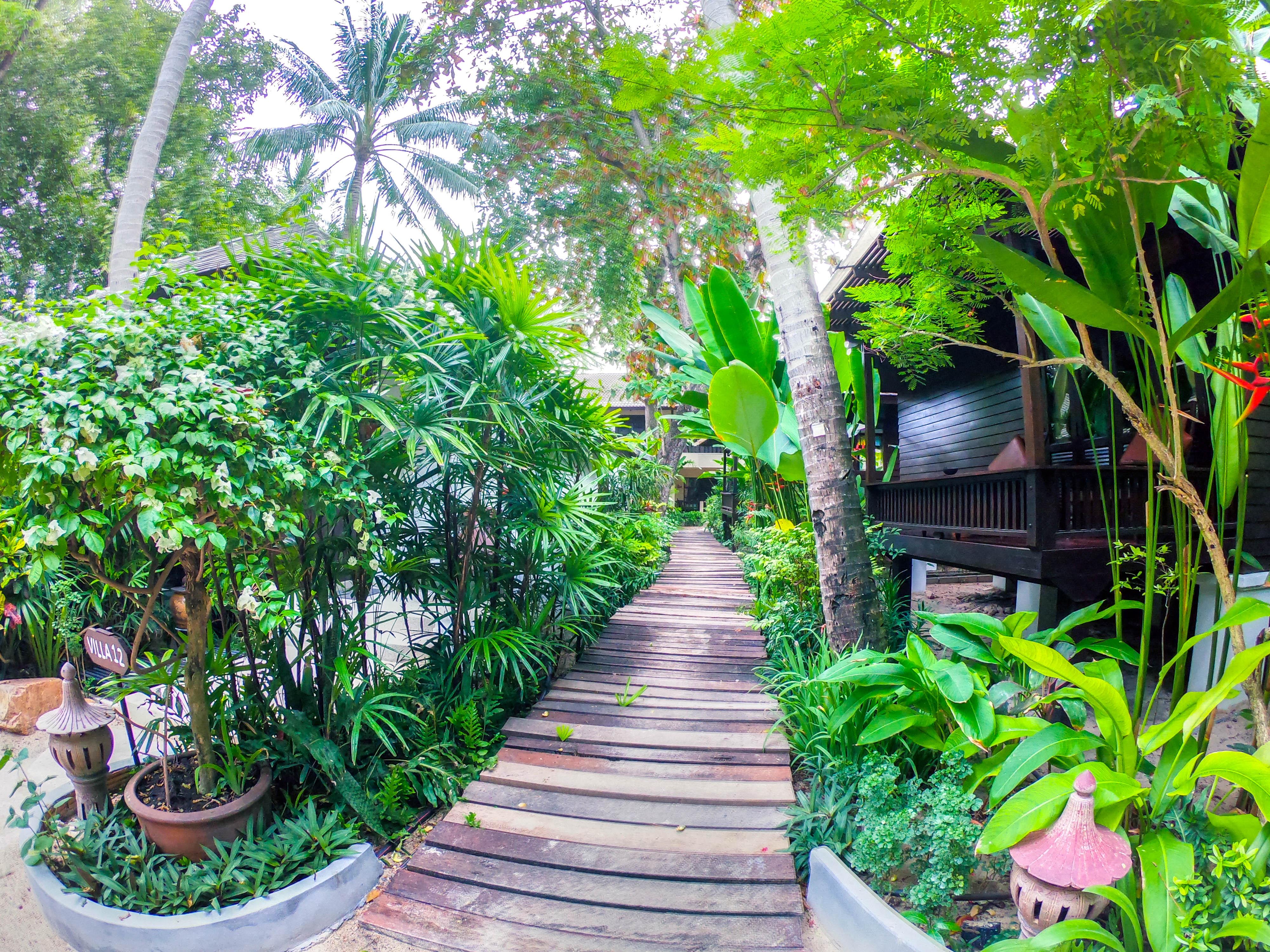 Garden - Sha 3* Chaweng (Koh Samui)
