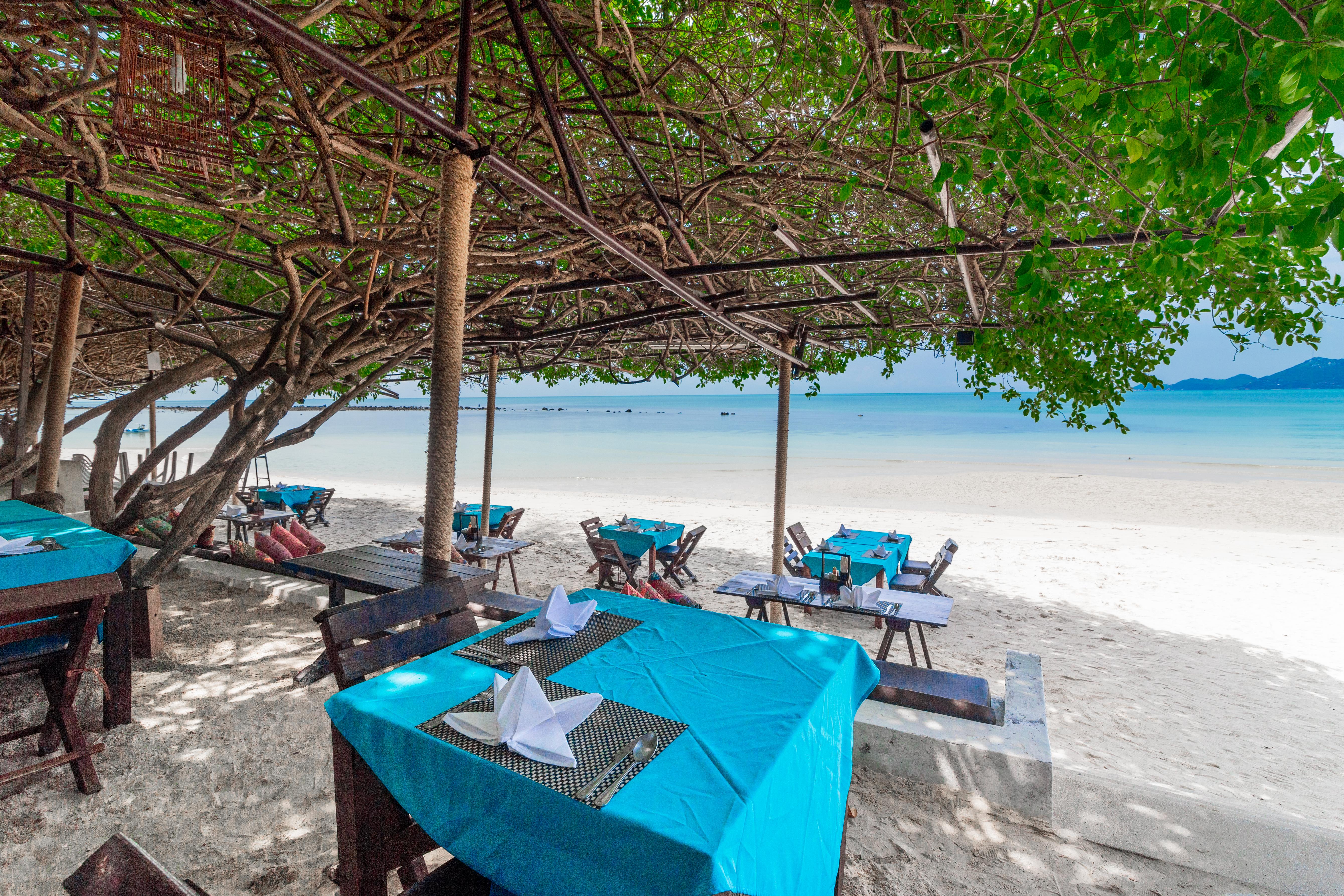 Garden - Sha Chaweng (Koh Samui)