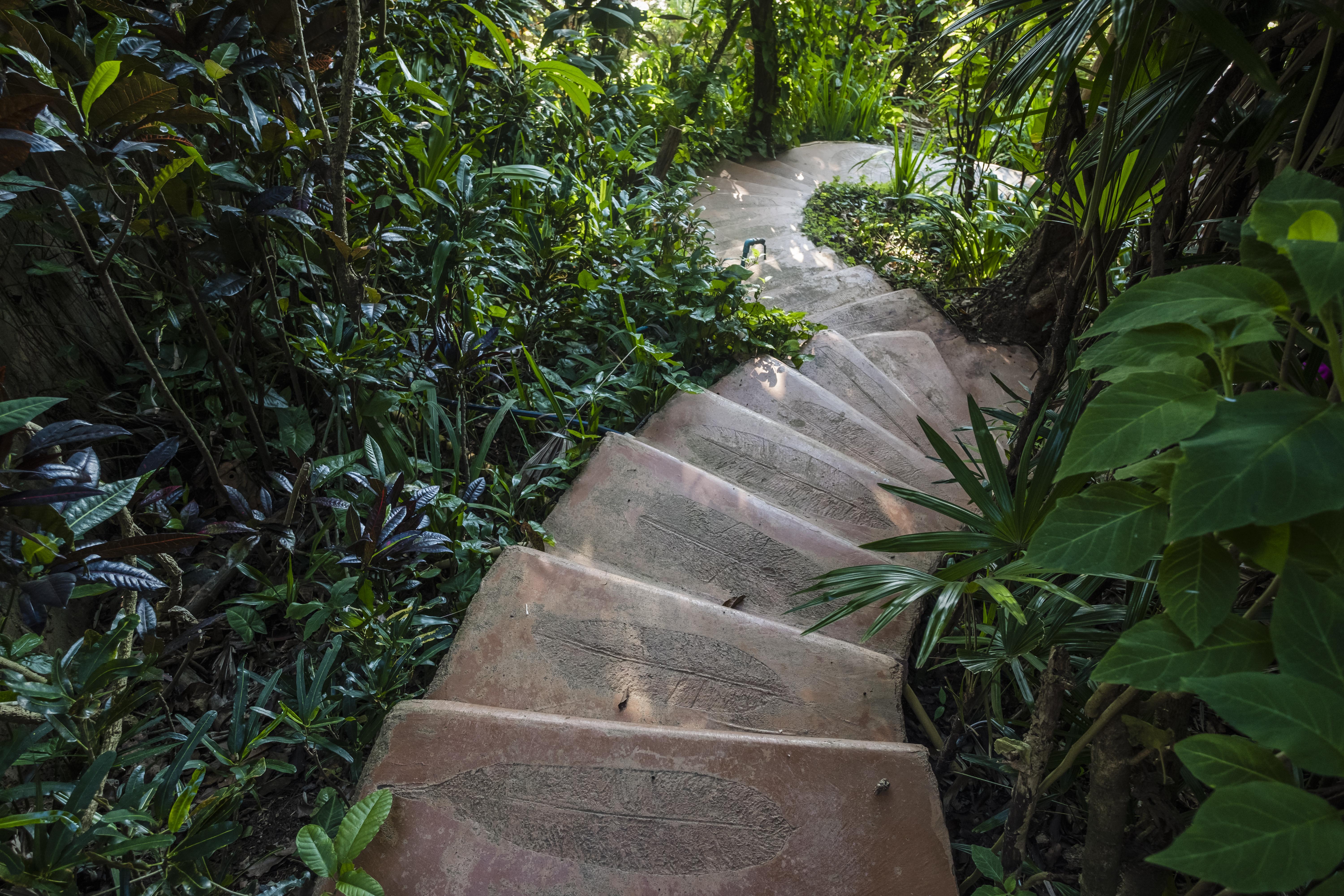 Resort Phu Chaisai Chiang Rai Mountain
