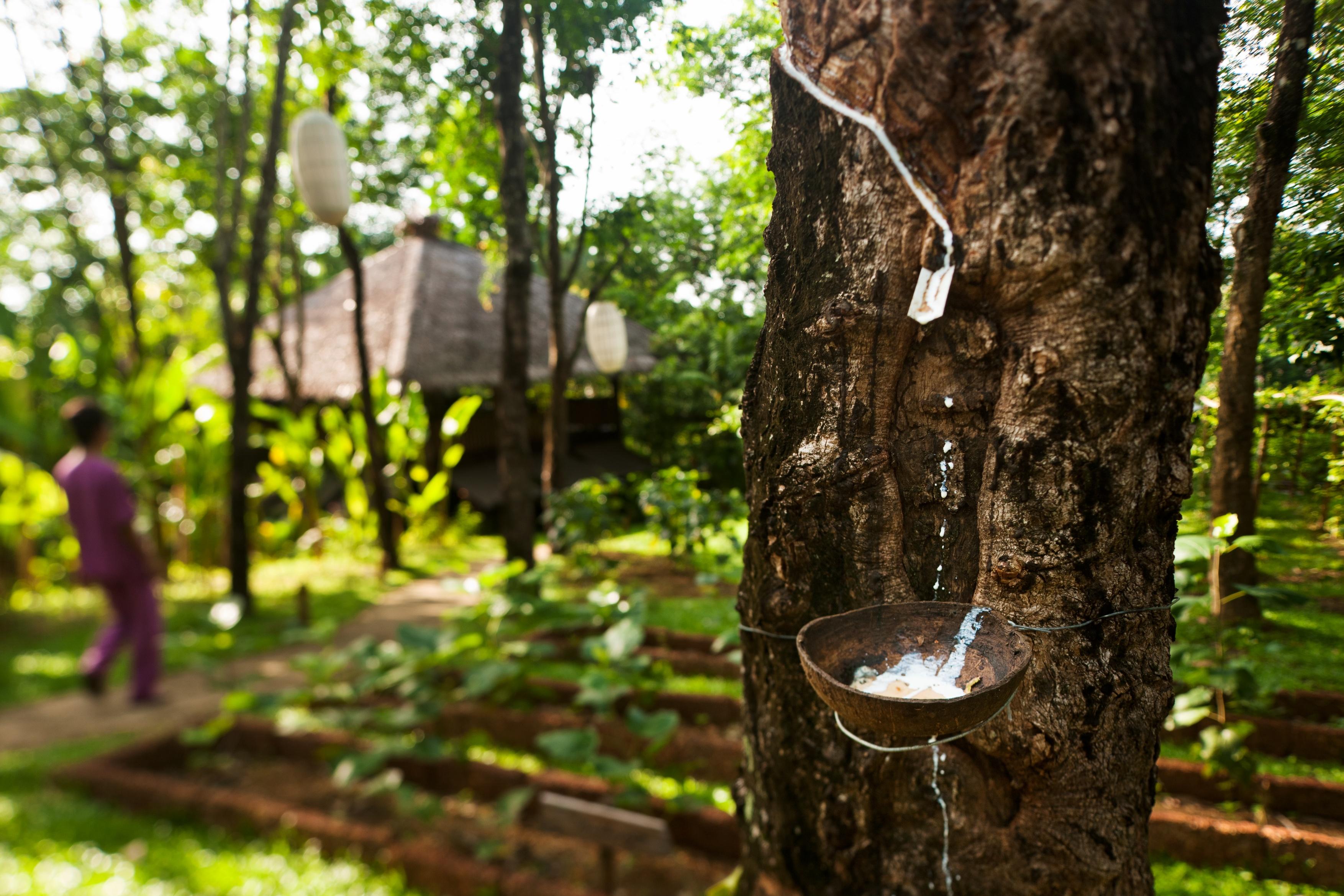 Six Senses Yao Noi Resort Phang Nga