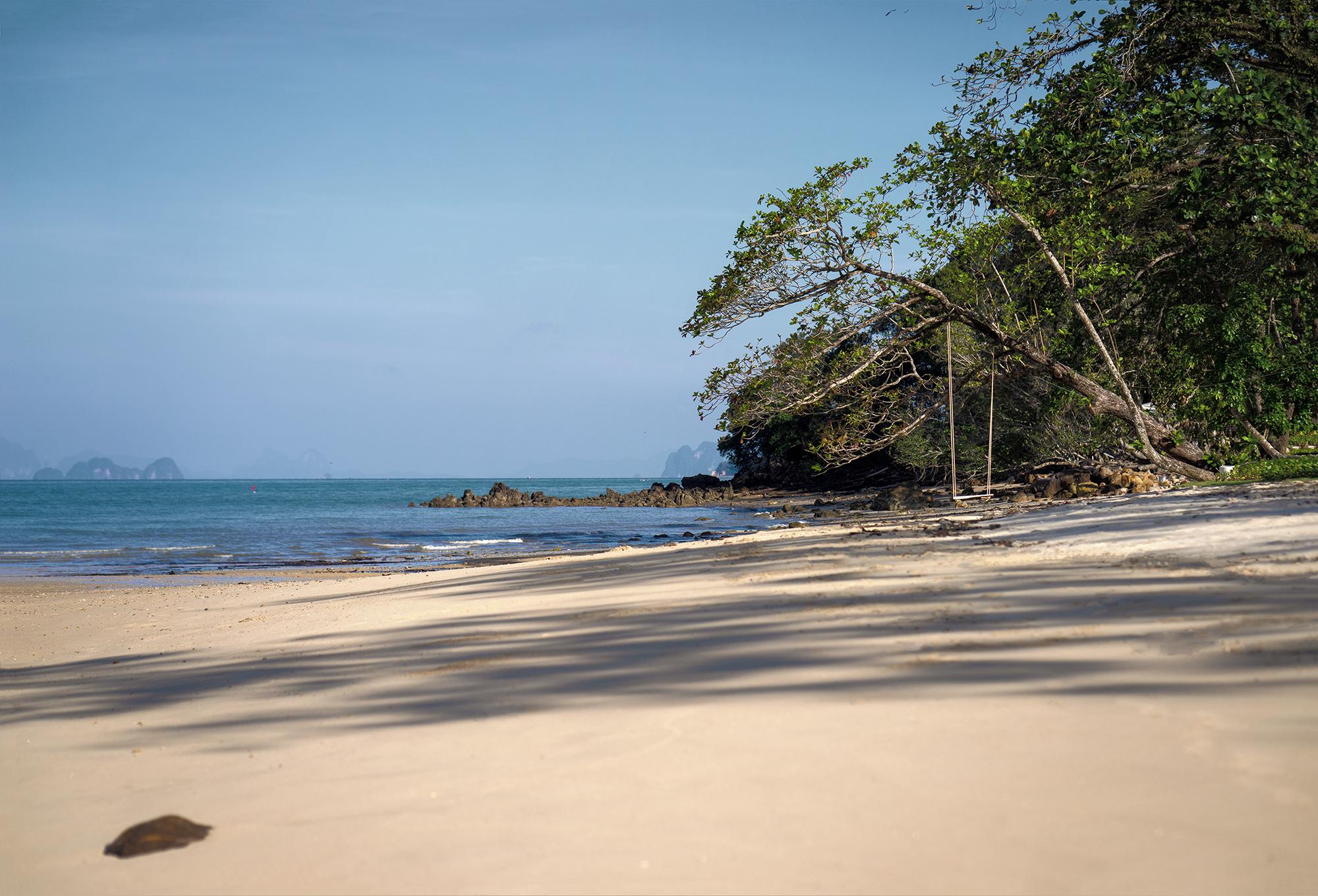 Hotel Banyan Tree