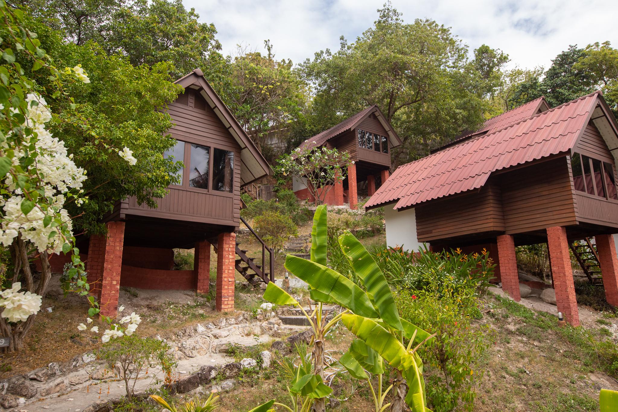Coral View