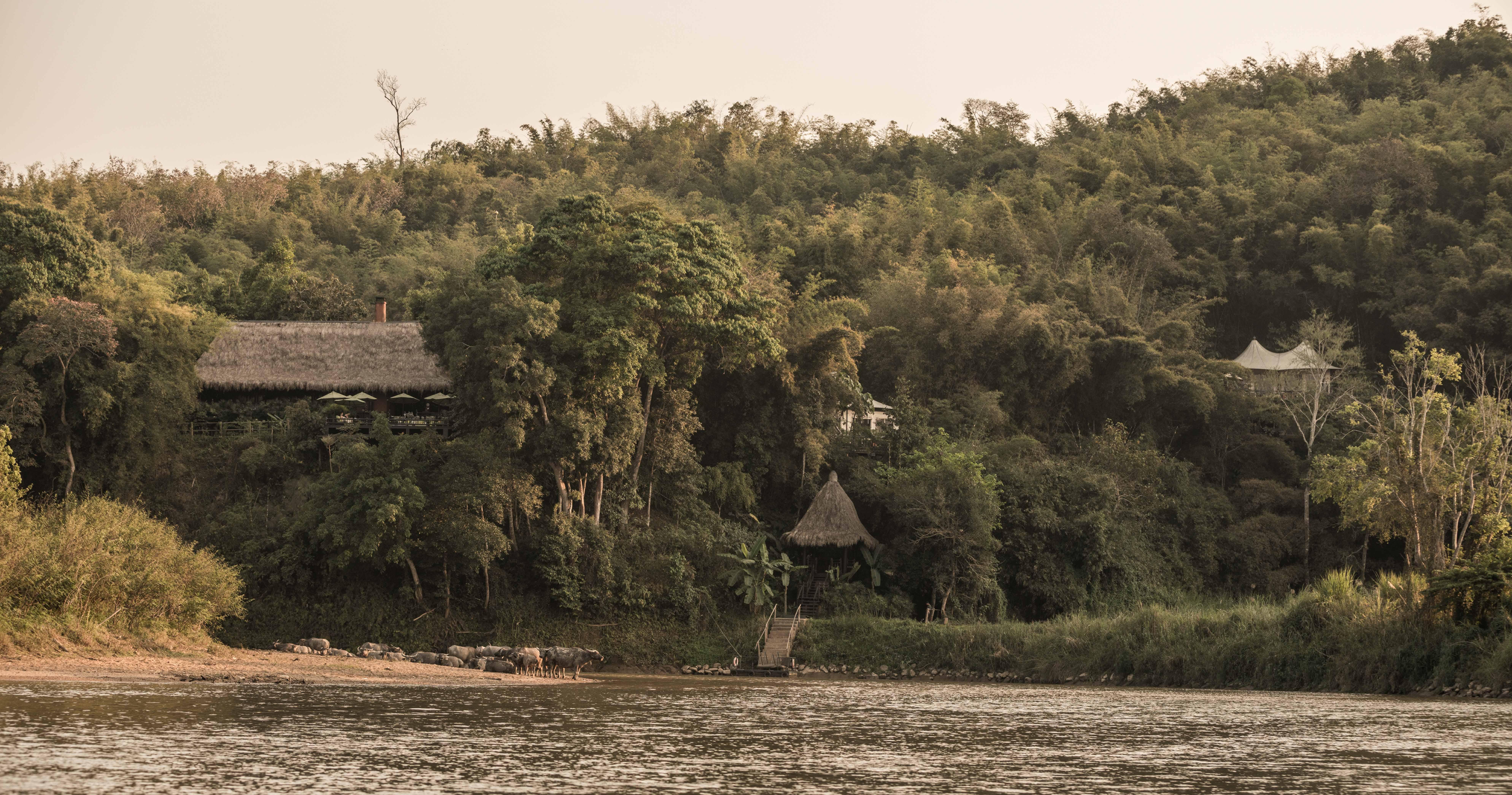 Four Seasons Tented Camp Resort 5*
