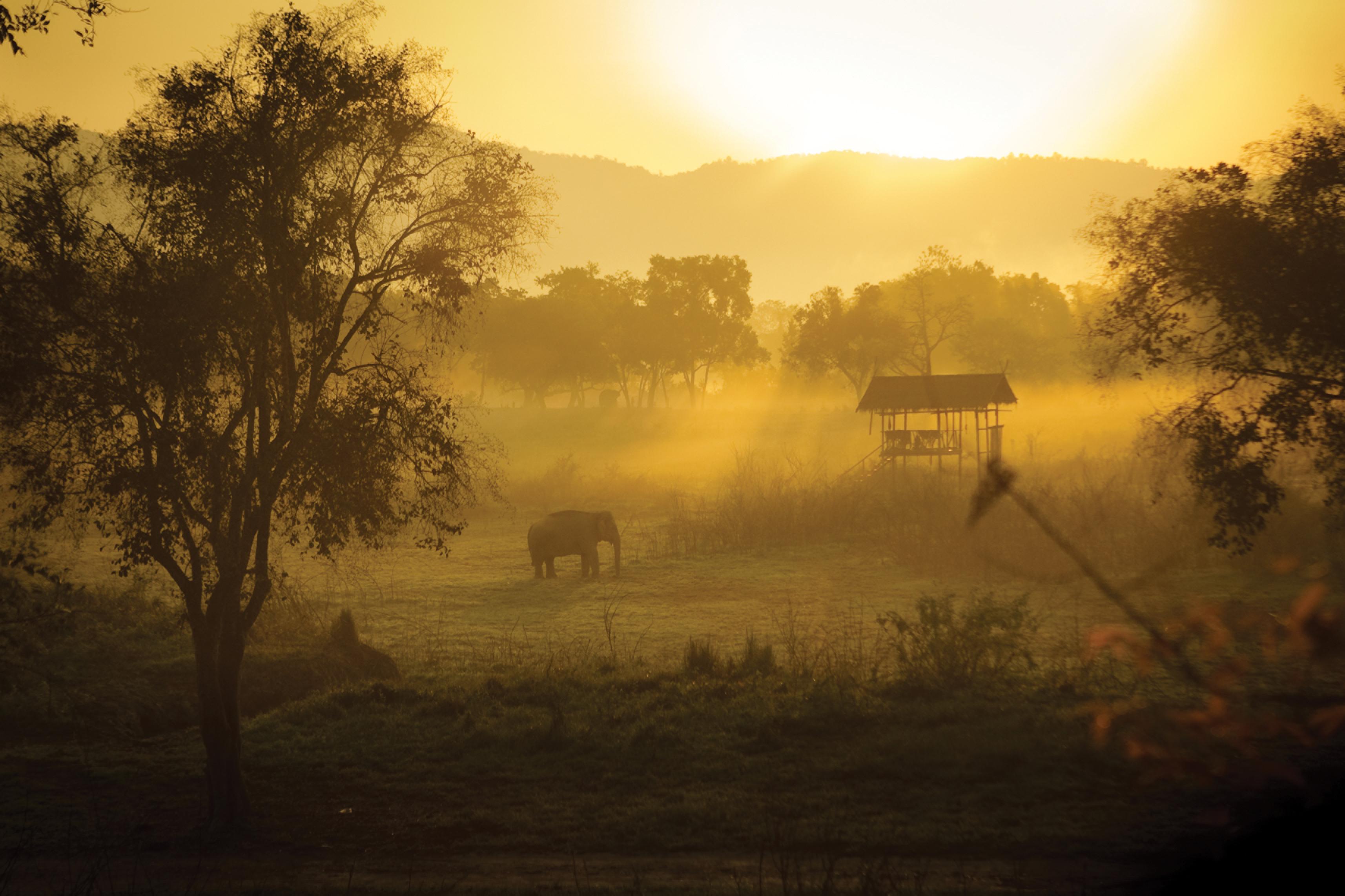 Four Seasons Tented Camp 5*