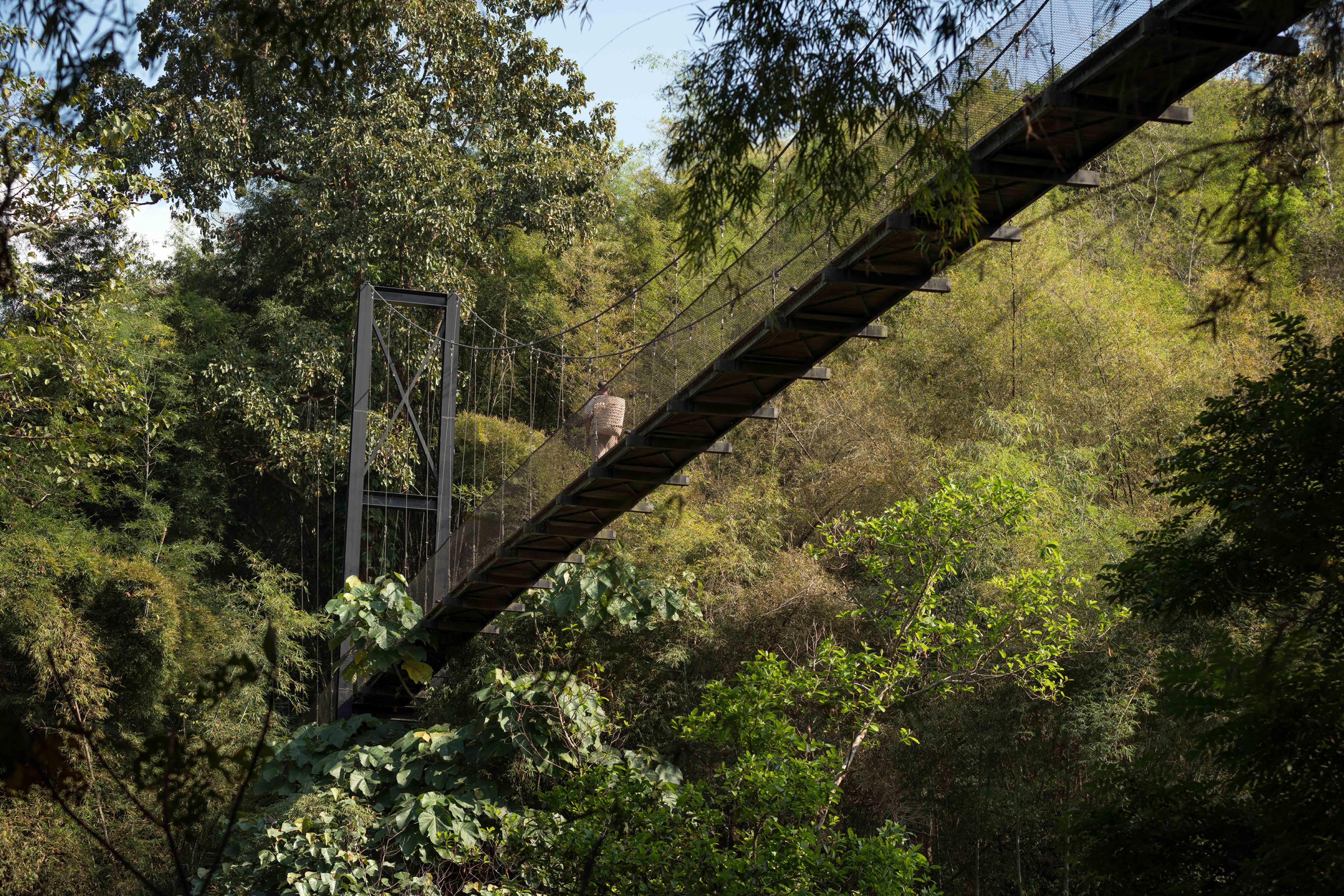 Four Seasons Tented Camp Golden Triangle