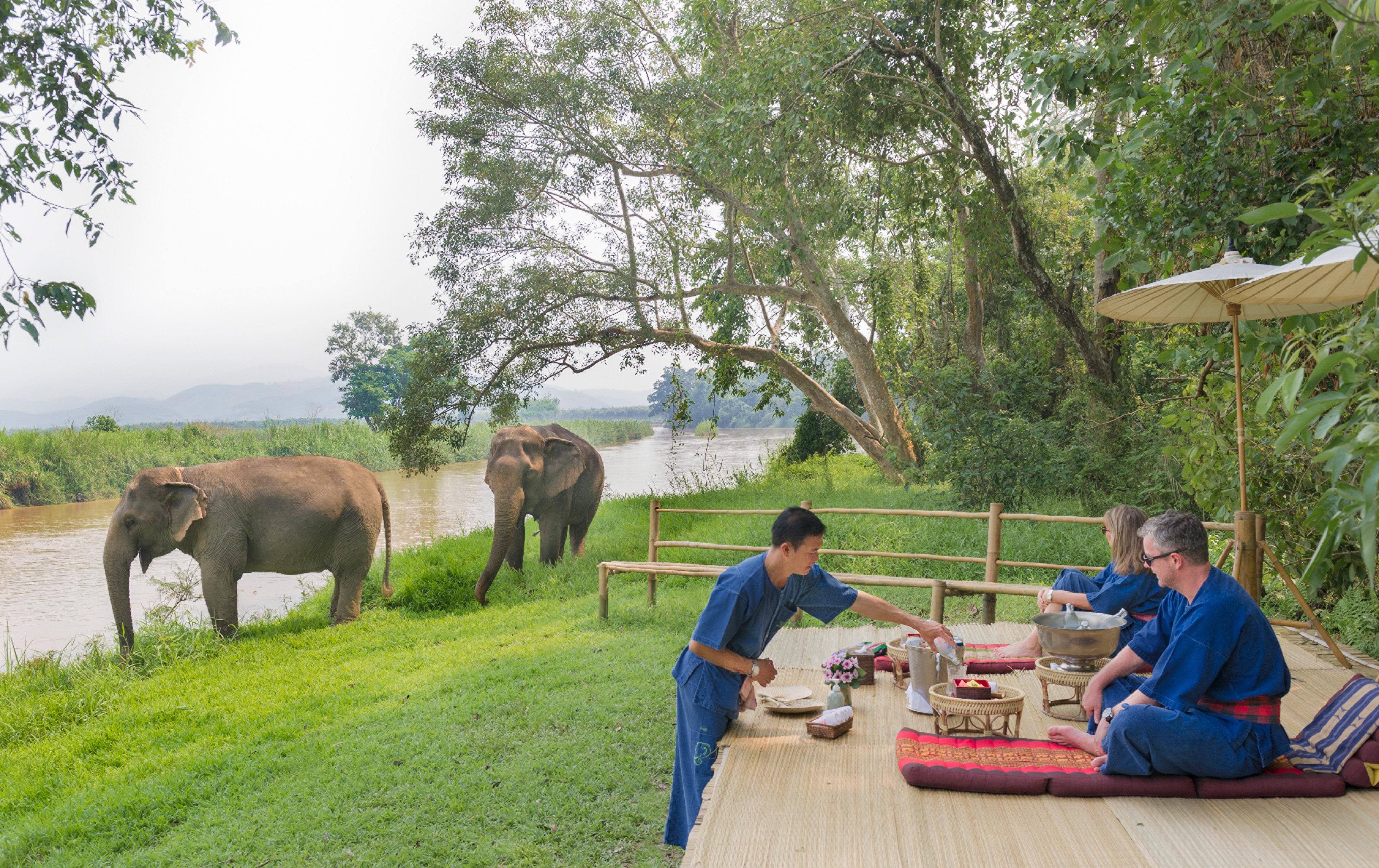 Resort Four Seasons Tented Camp Golden Triangle