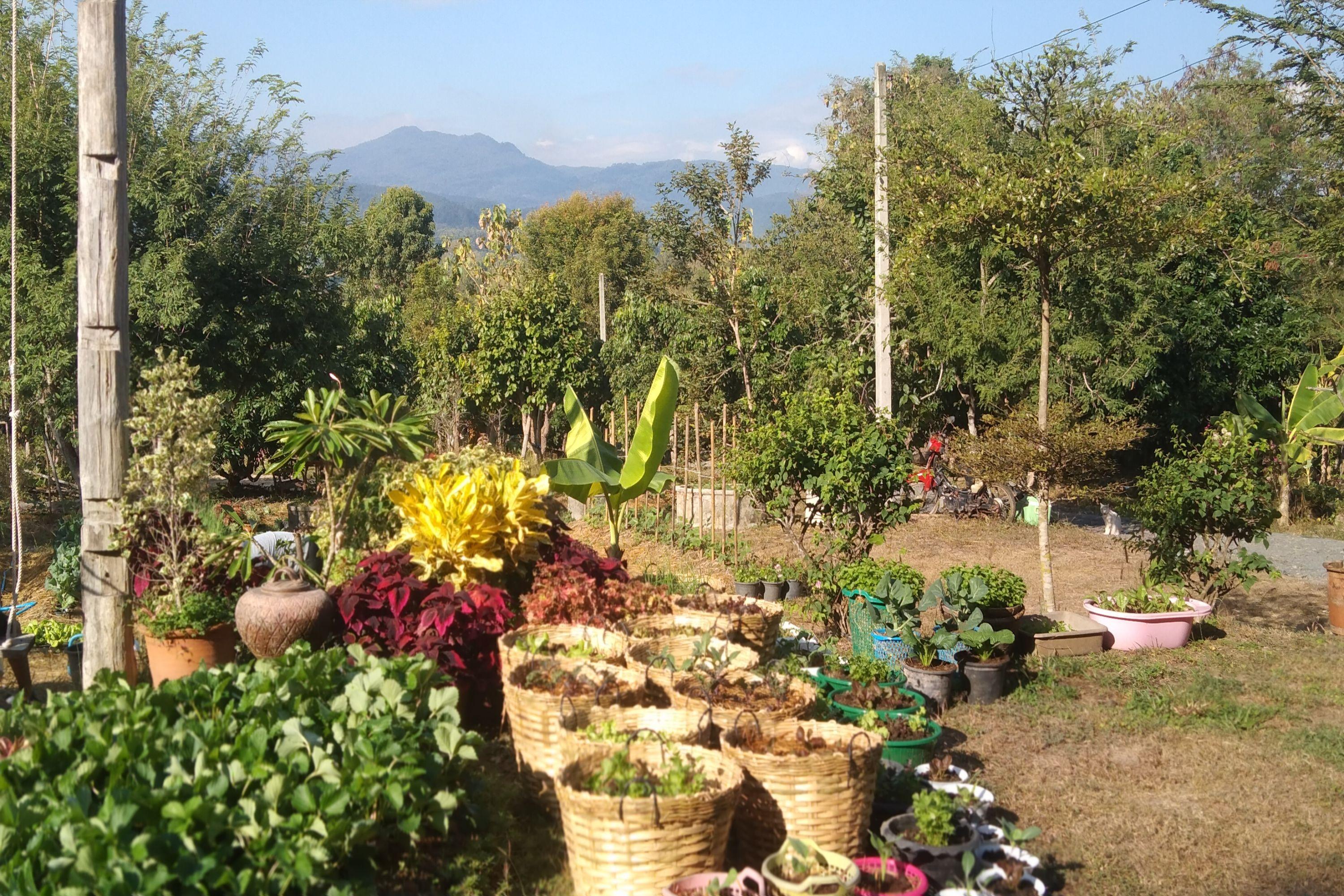 Resort Thanyarat