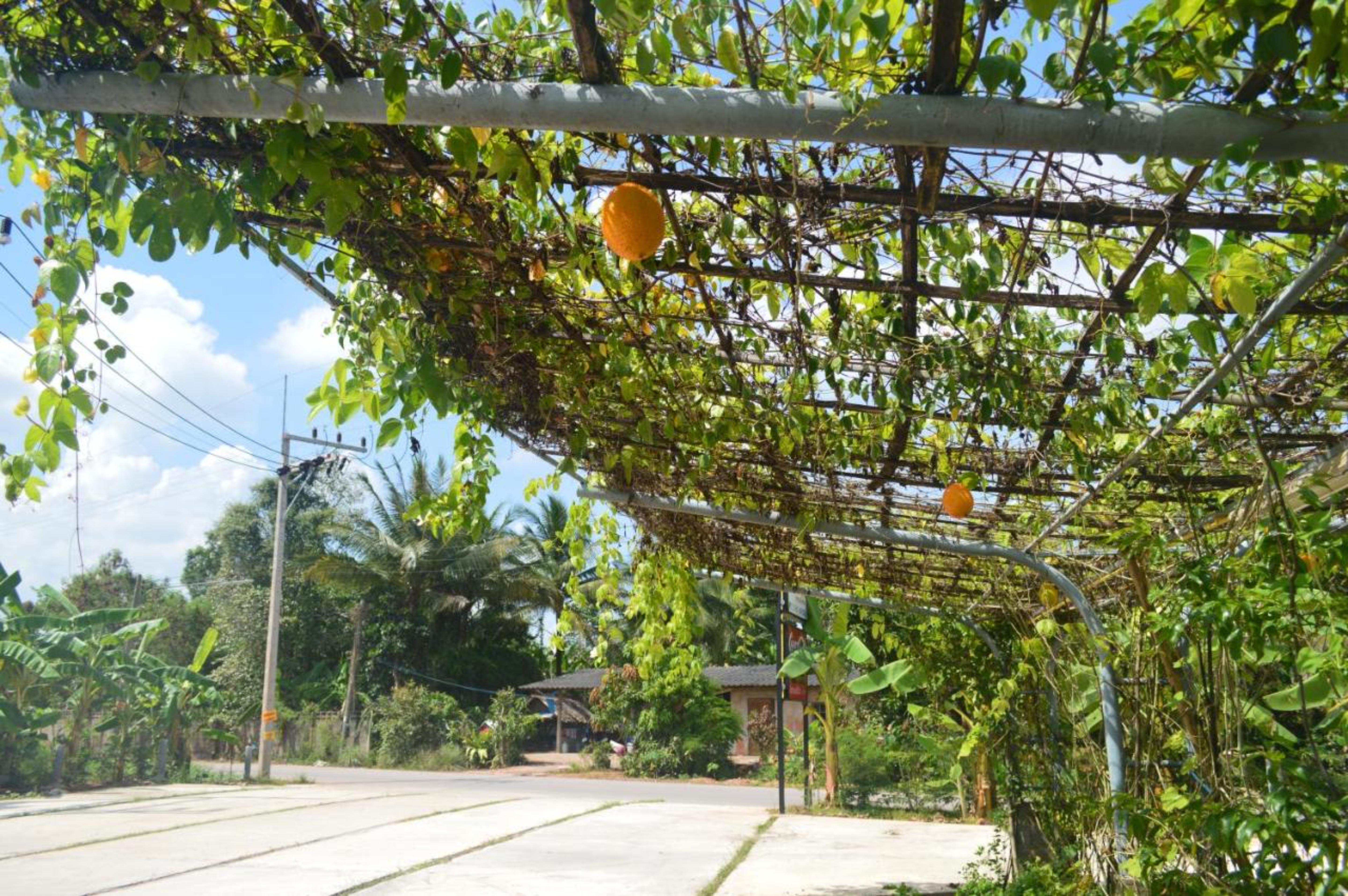 Hotel Be Fine Sabuy Hotel And Resort