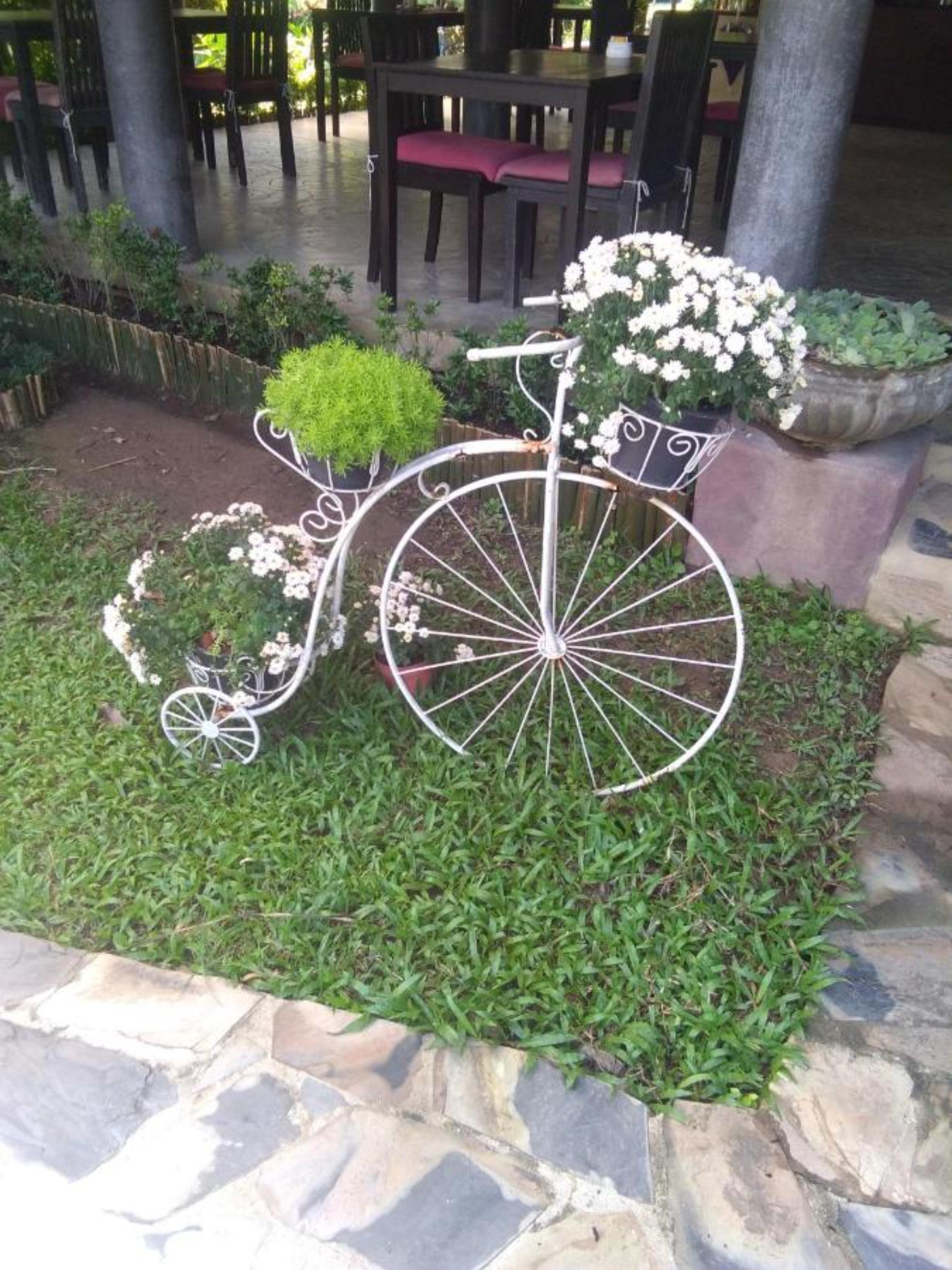 Baan Chai Thung Resort Doi Saket