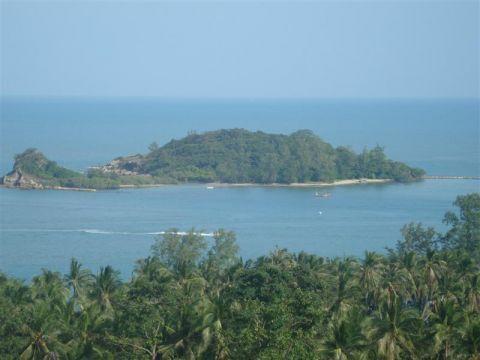 Frangipani *
