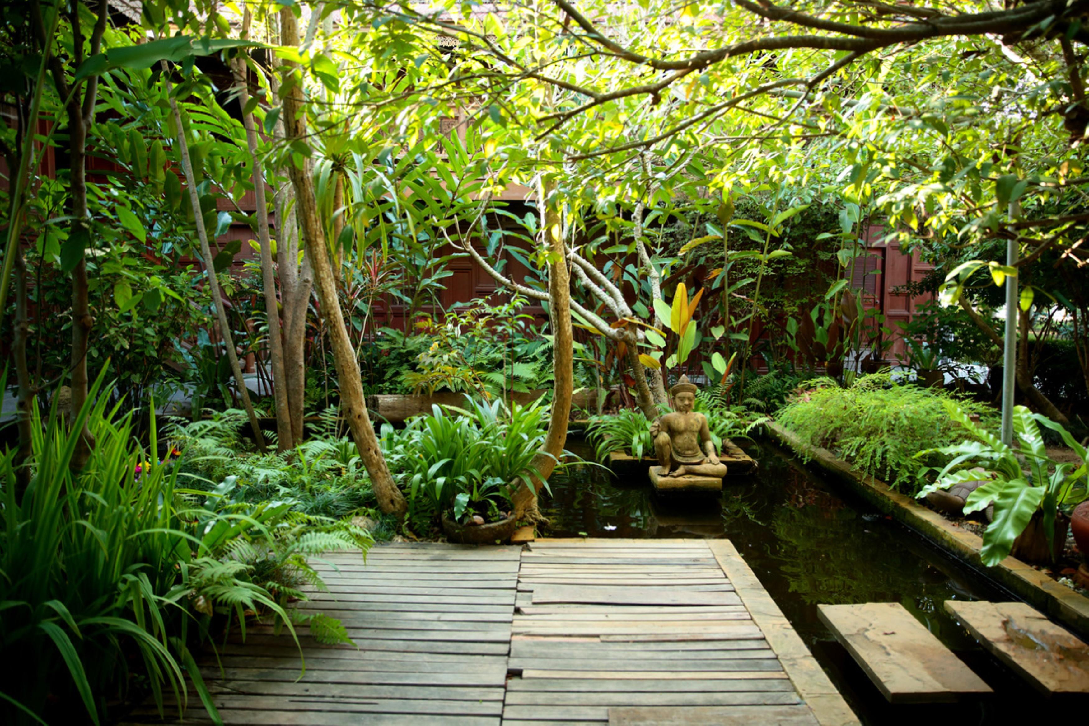 Boontarn Sanctuary * Chiang Mai