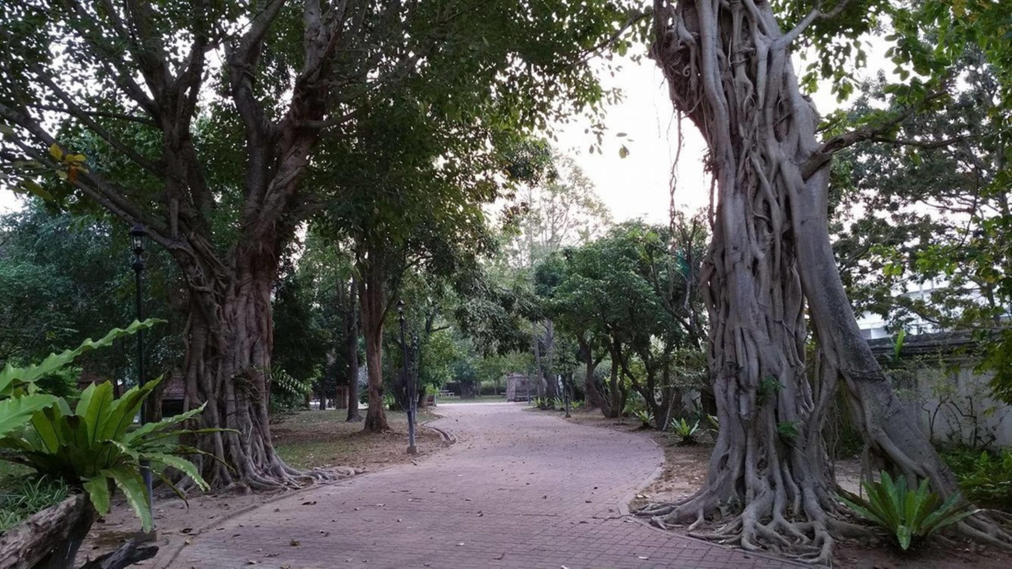 Homestay Boontarn Sanctuary Chiang Mai