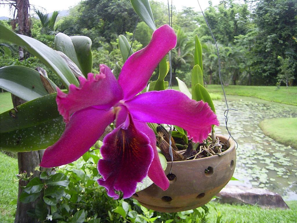 Villa Cliffside Lagoon Ao Nang