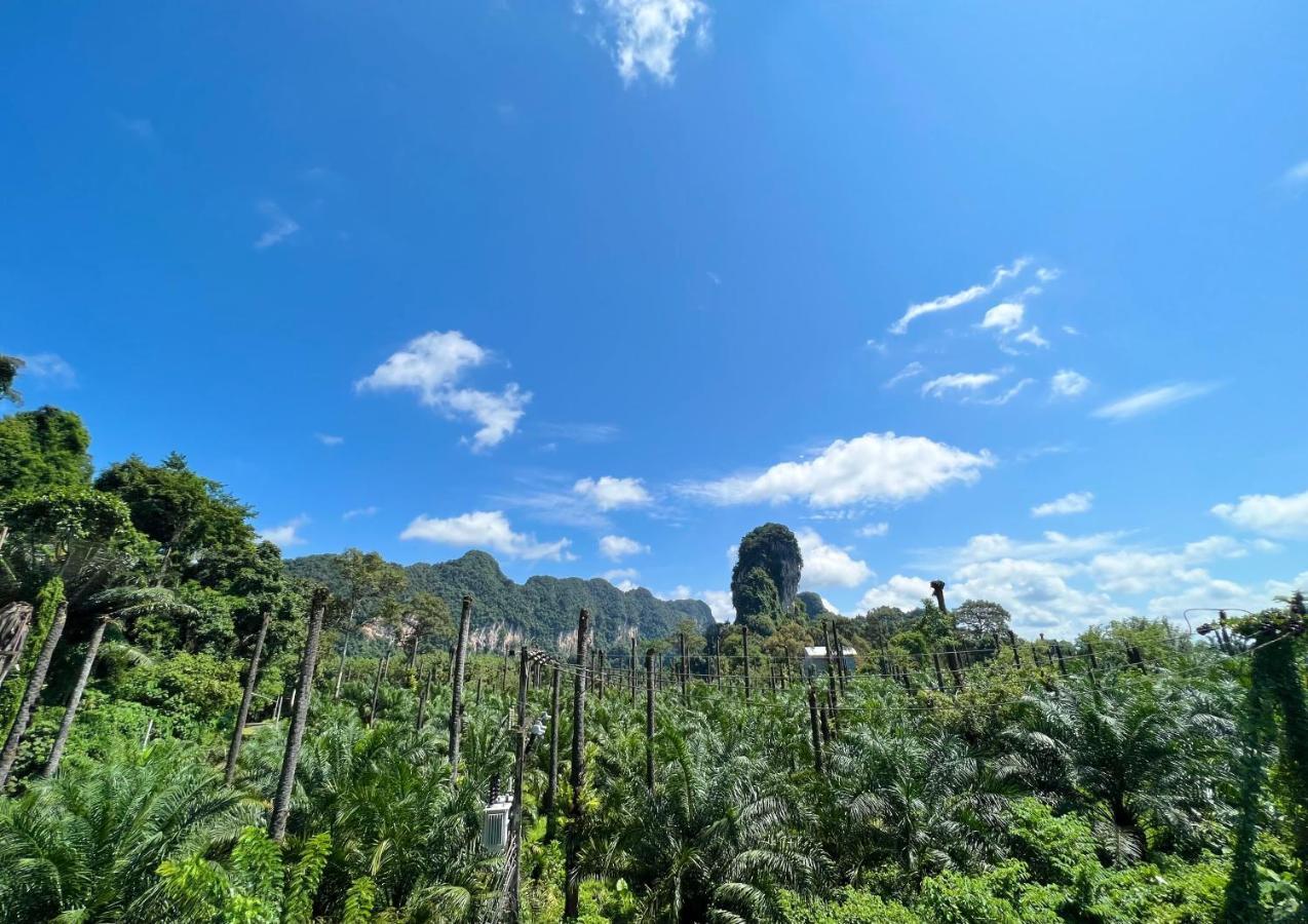 Hotel Pn Mountain And Krabi