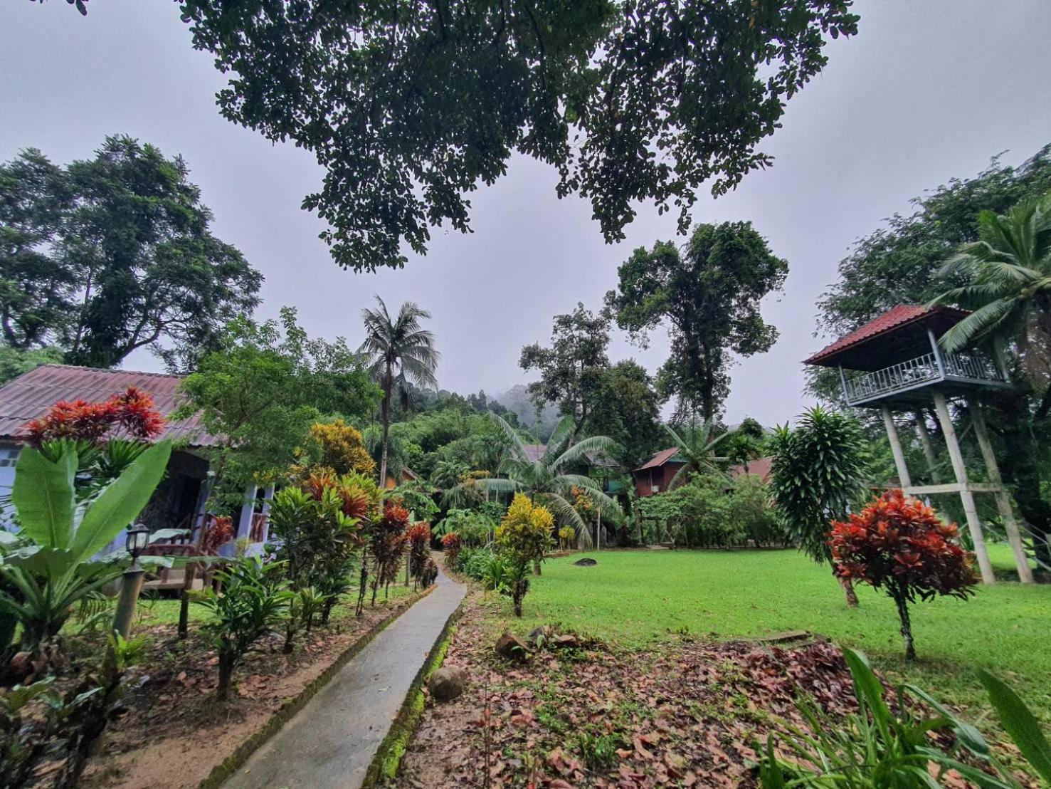 Malulee Khaosok Khao Sok National Park