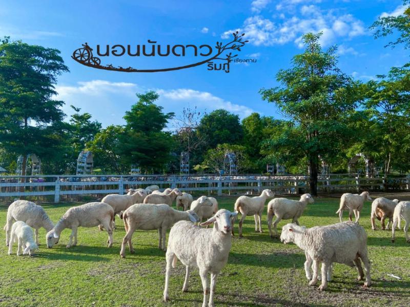 Norn Nab Dao Rimphu Chiang Khan