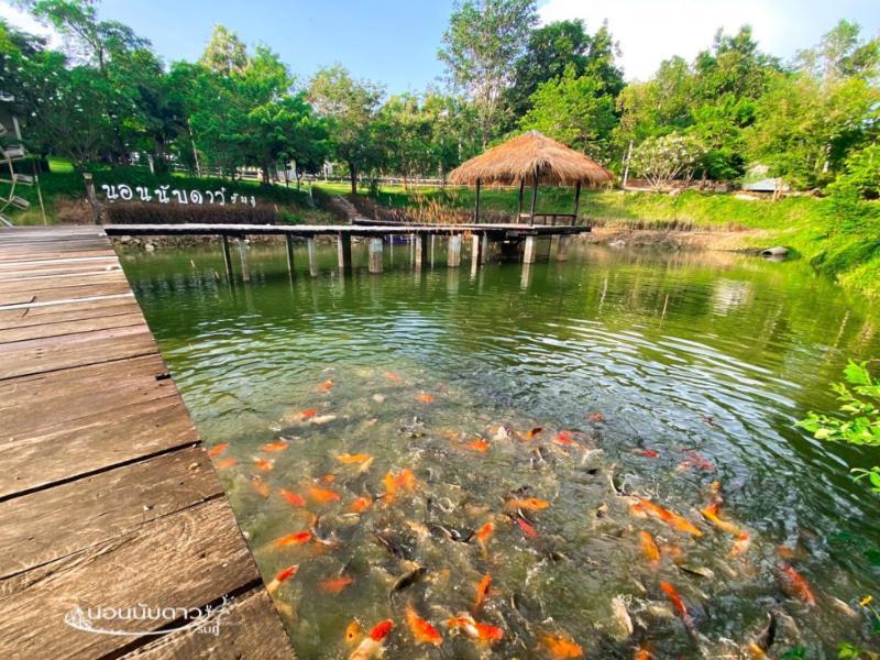 Resort Norn Nab Dao Rimphu Chiang Khan