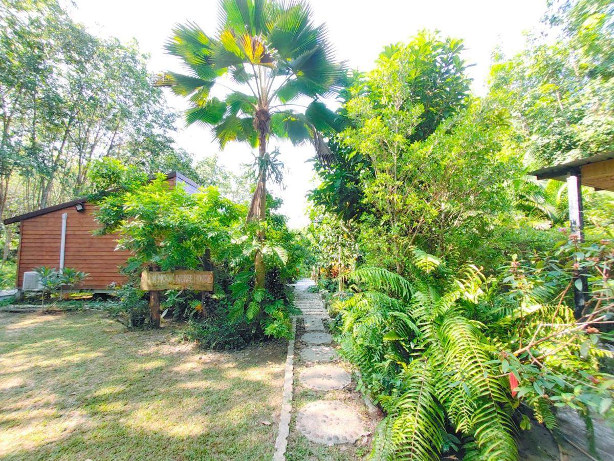 Kohmook Nurse House 2*
