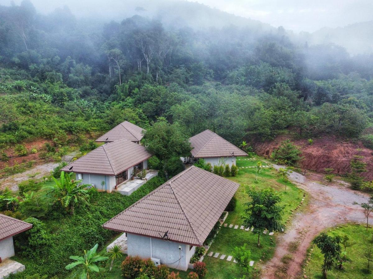 Guest house The Liveliwoods Khao Sok National Park