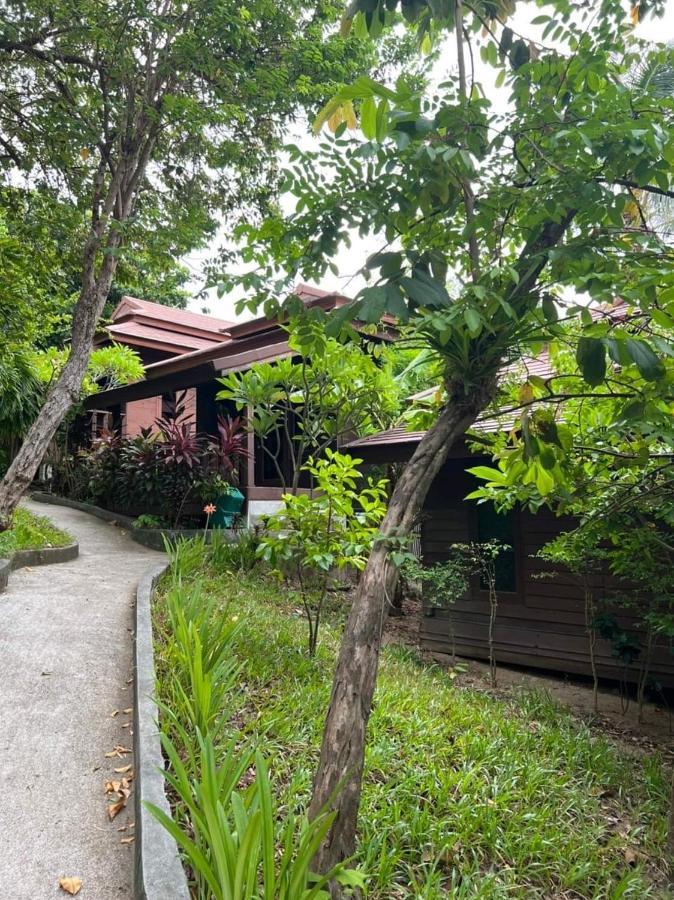 Sonic Hill Koh Phangan Haad Rin