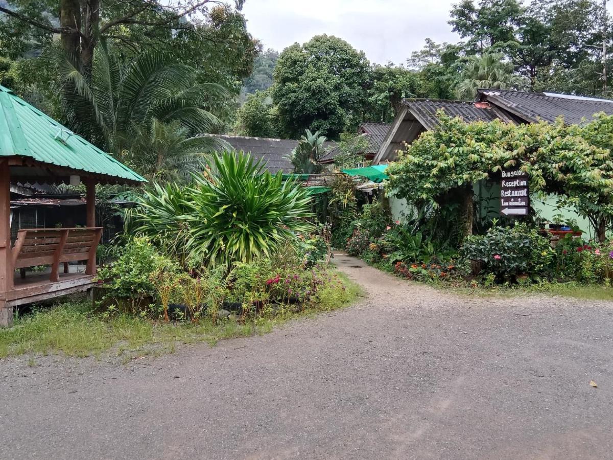 Resort Tree Tops River Huts