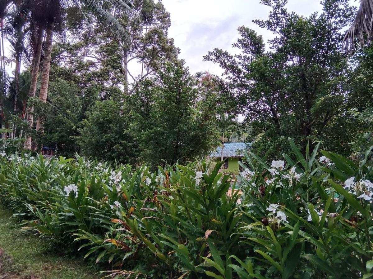 Resort Tree Tops River Huts 2*