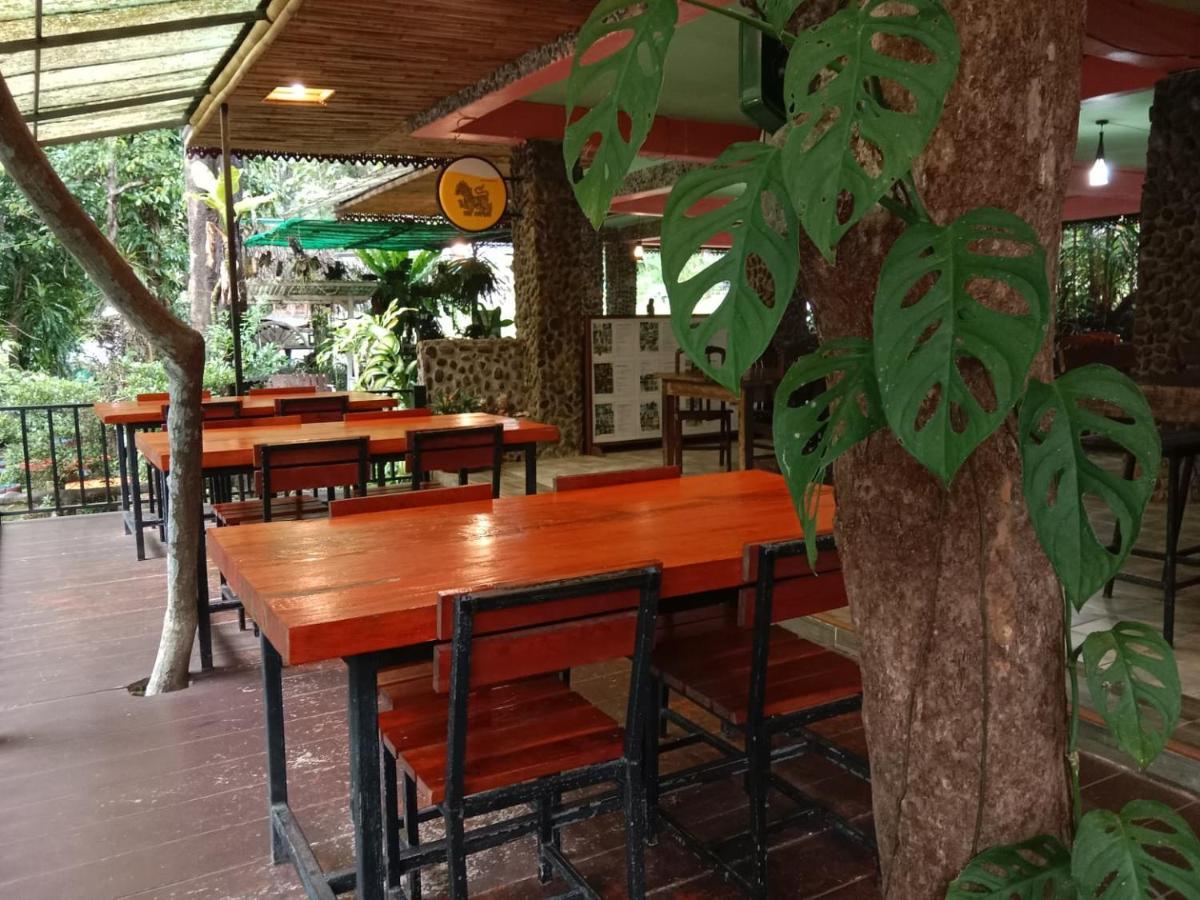 Tree Tops River Huts Resort 2*