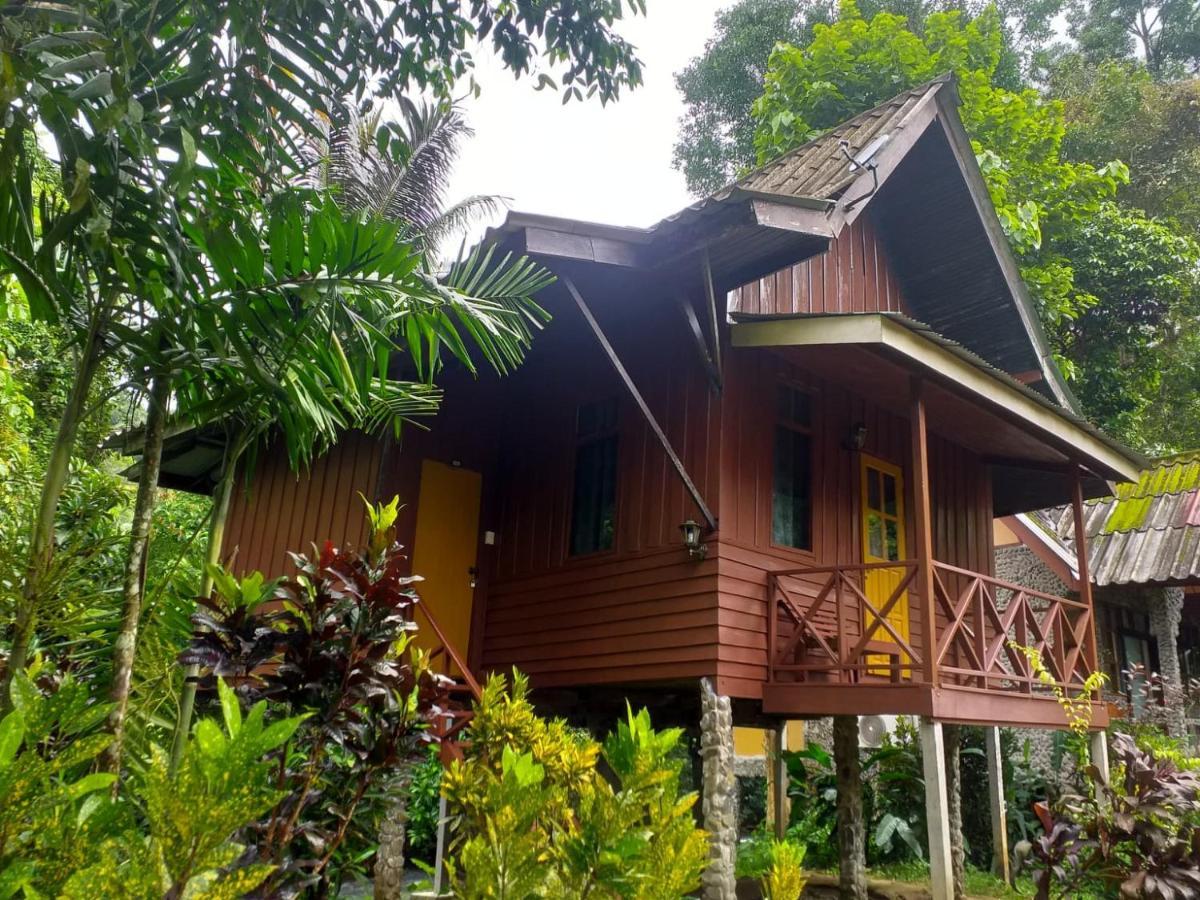 Resort Tree Tops River Huts