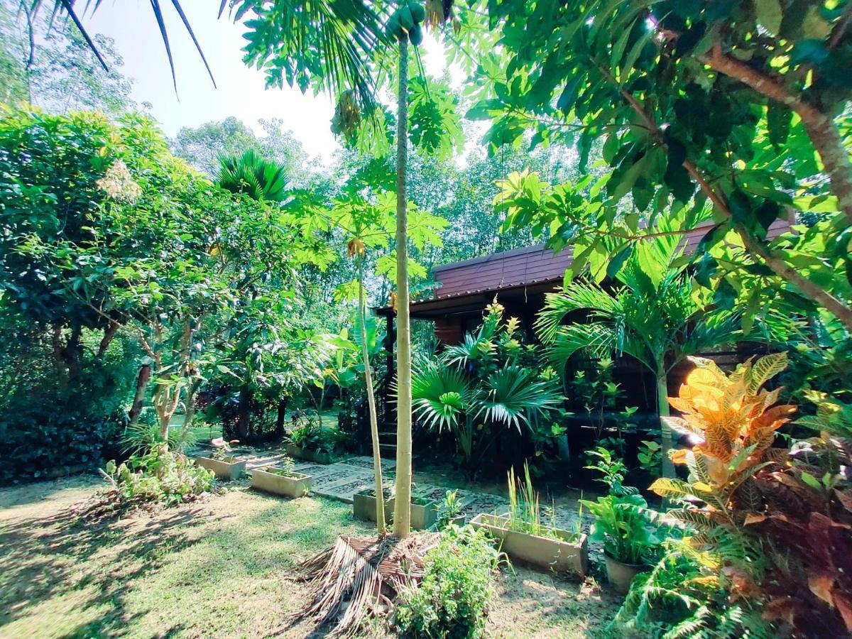 Resort Kohmook Nurse House 2*
