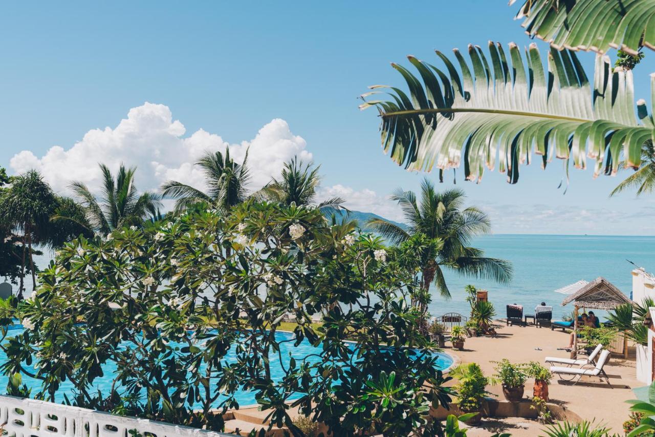 Samui Art