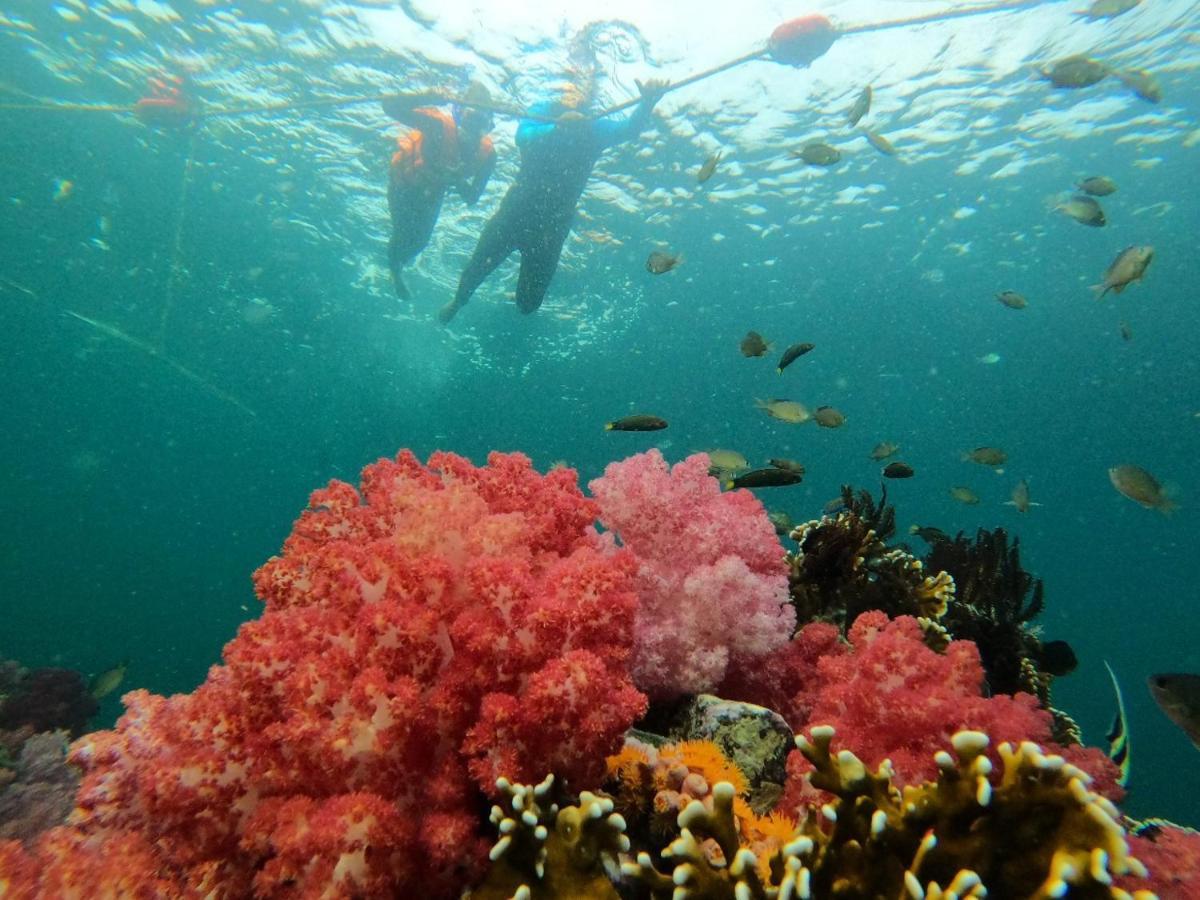 Z-touch Island Koh Lipe