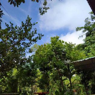 Suankafae สวนกาแฟรีสอร์ท Resort 2*