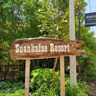 Suankafae สวนกาแฟรีสอร์ท Resort Surat Thani