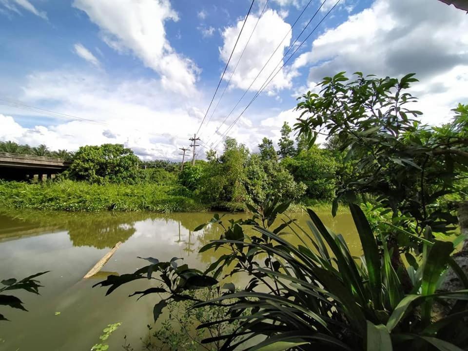 Suankafae สวนกาแฟรีสอร์ท Surat Thani