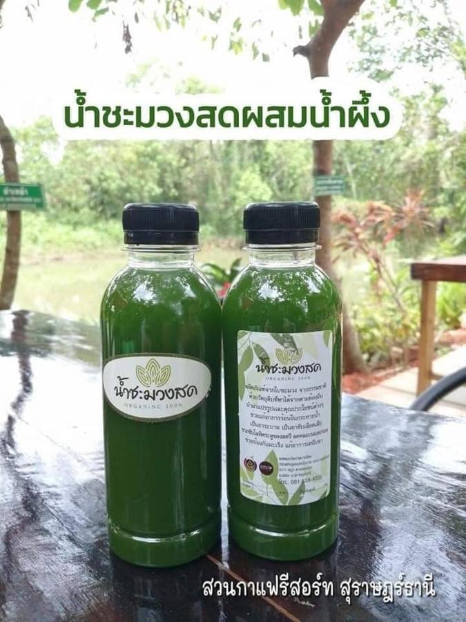 Suankafae สวนกาแฟรีสอร์ท Resort 2*
