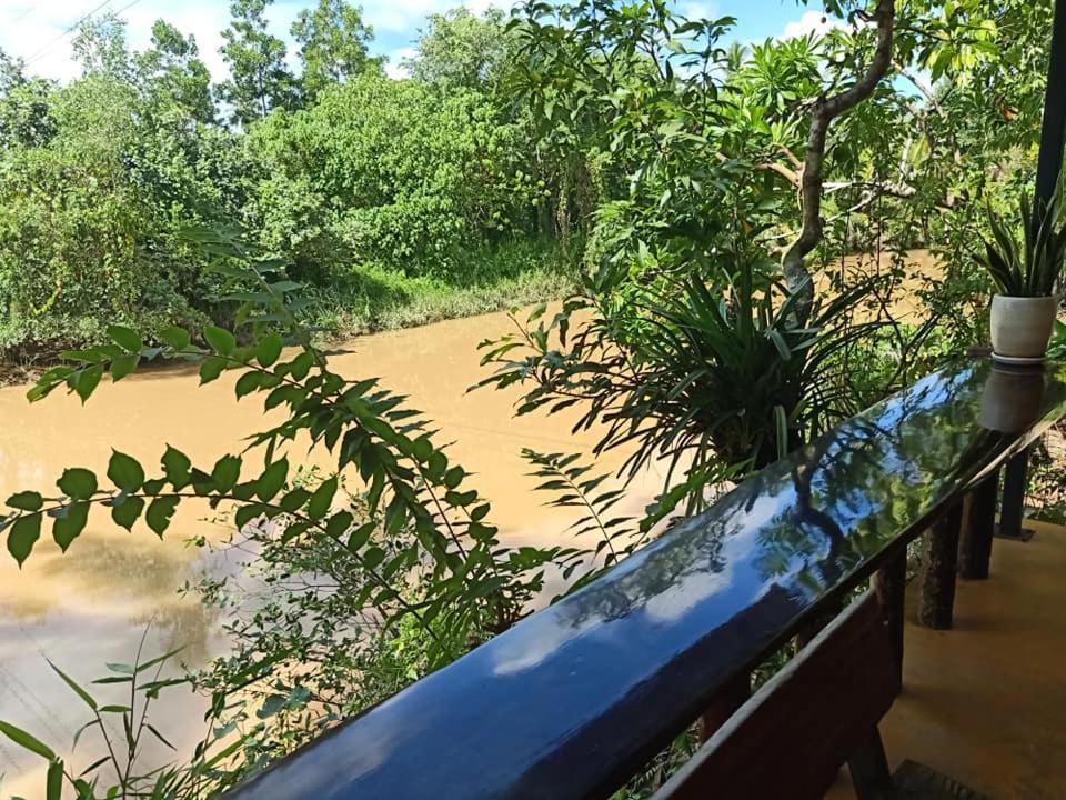 Suankafae สวนกาแฟรีสอร์ท Surat Thani