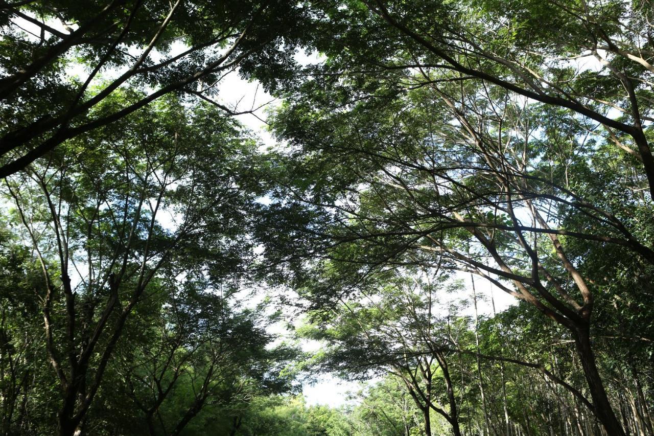 Intercontinental Khao Yai By Ihg 5*