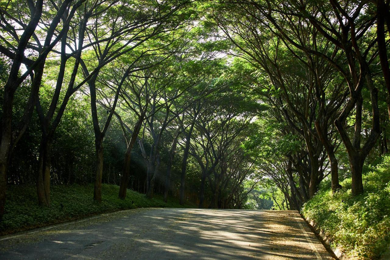 Intercontinental Khao Yai By Ihg
